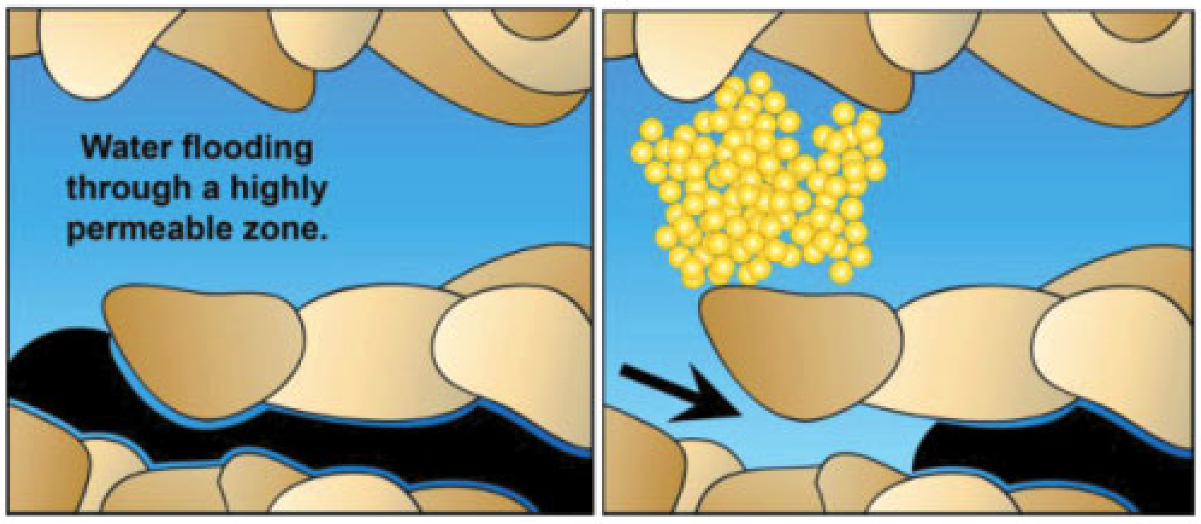 Molecules 28 07478 g014 Molecules 28 07478 g014