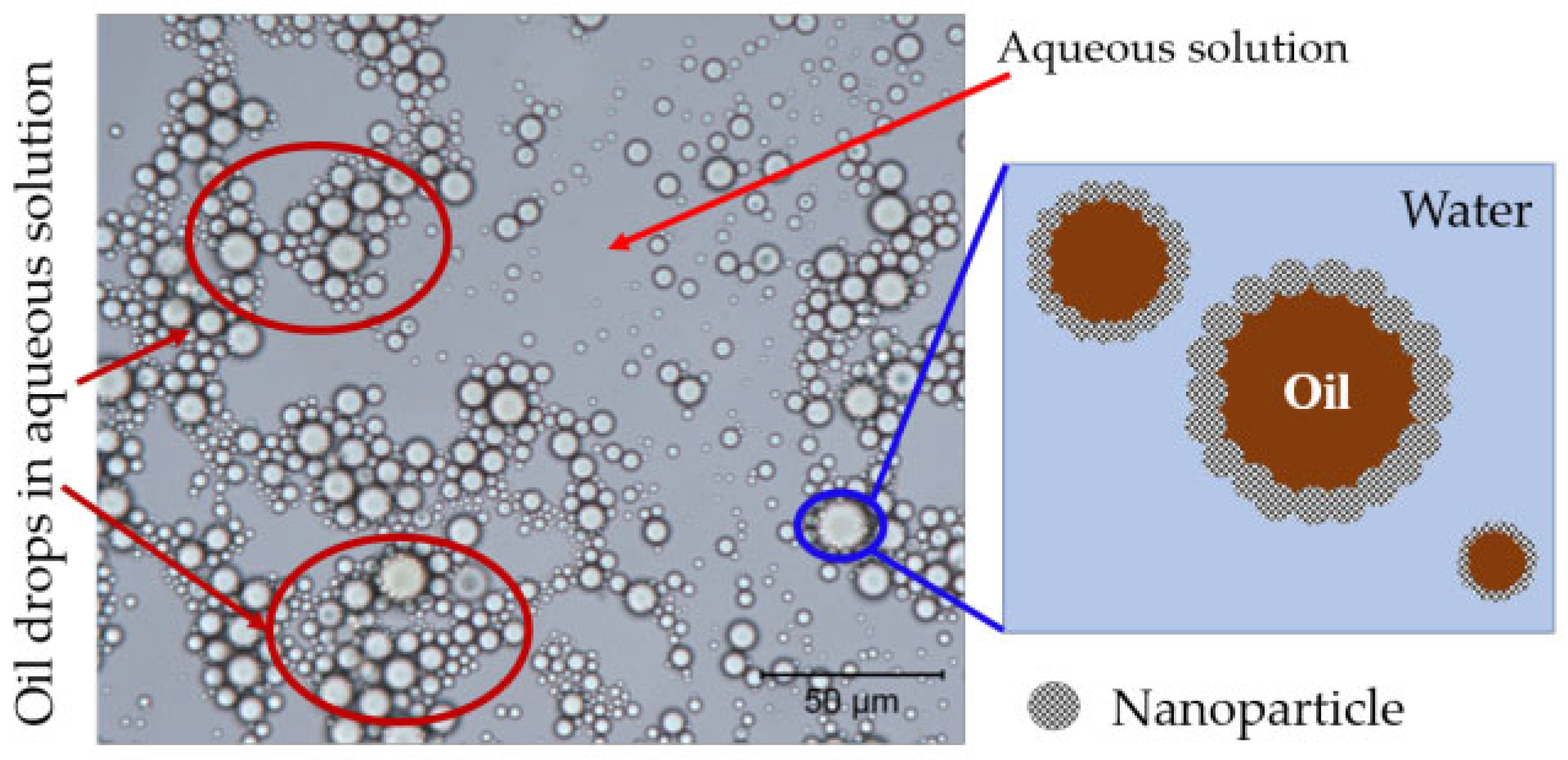 Molecules 28 07478 g015 Molecules 28 07478 g015