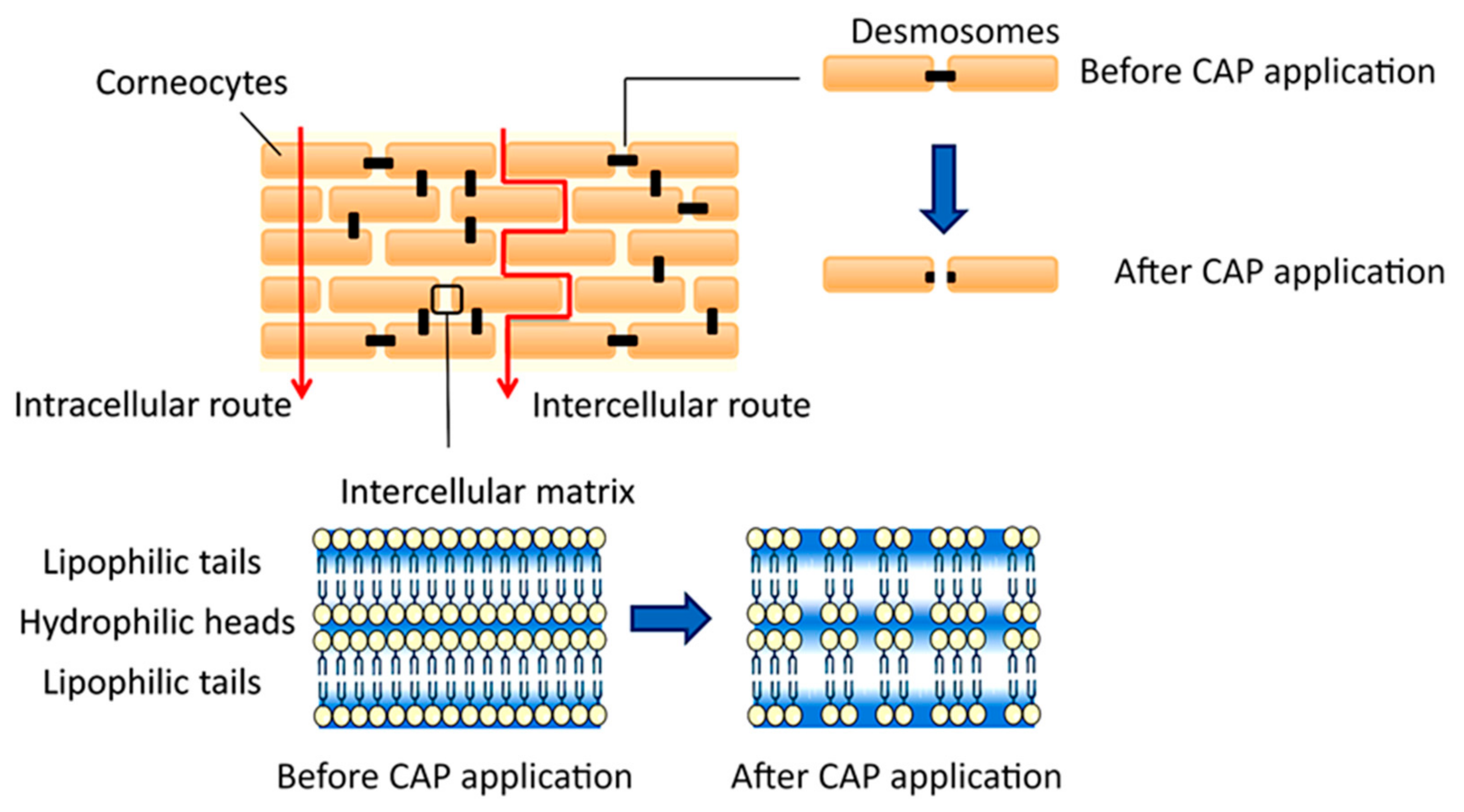 Molecules 28 07481 g005