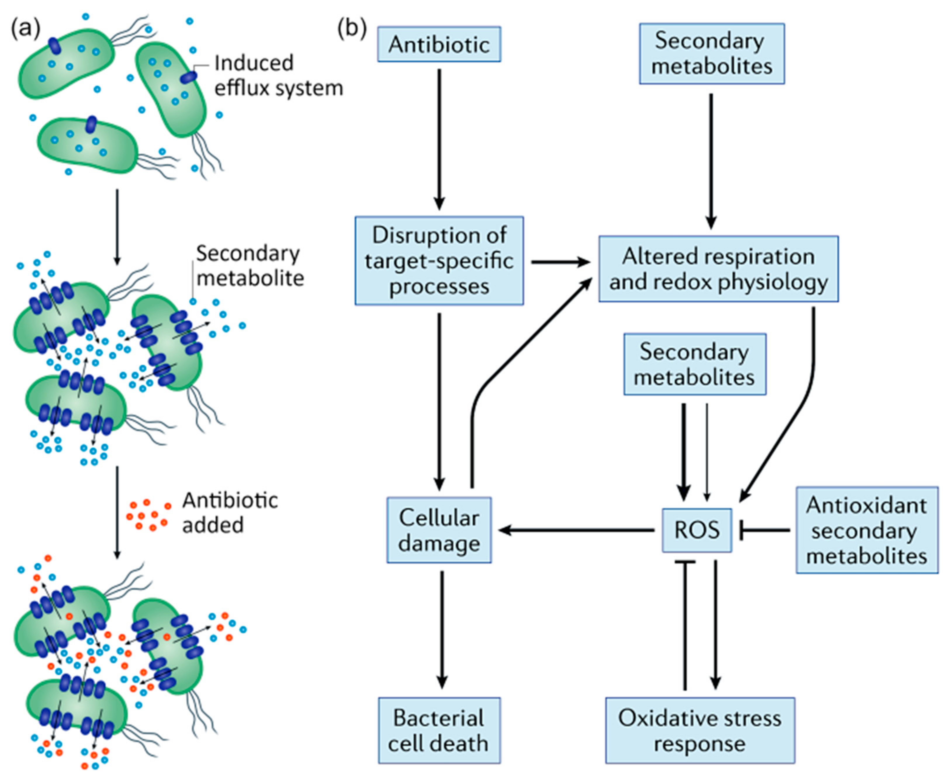 Molecules 28 07481 g006