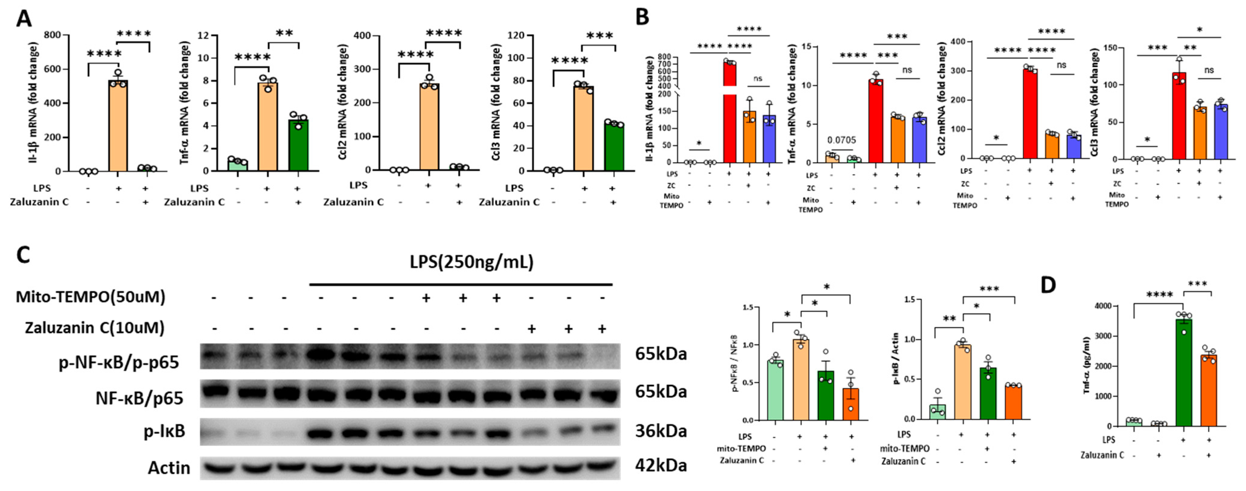 Molecules 28 07484 g002