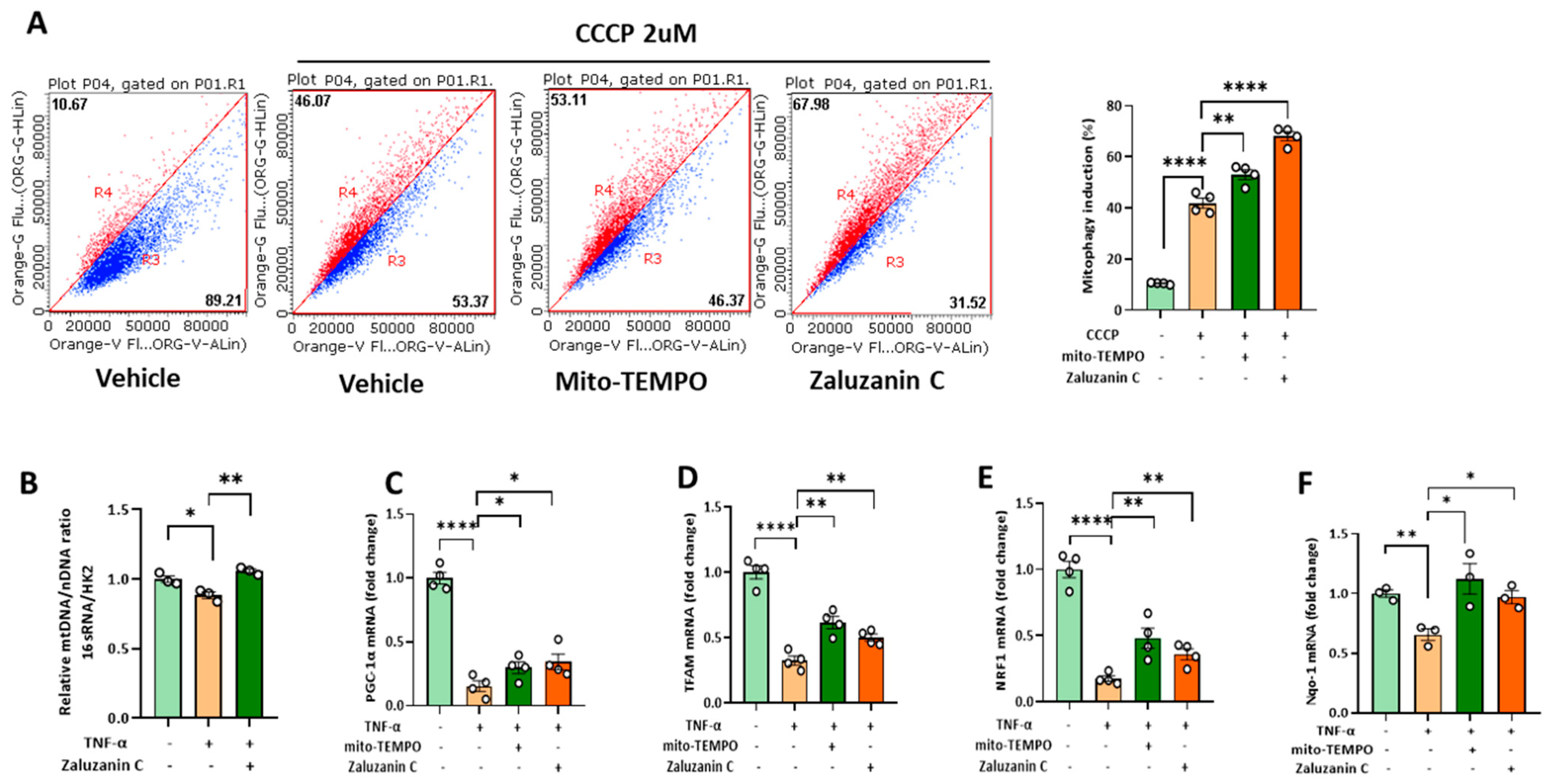 Molecules 28 07484 g004