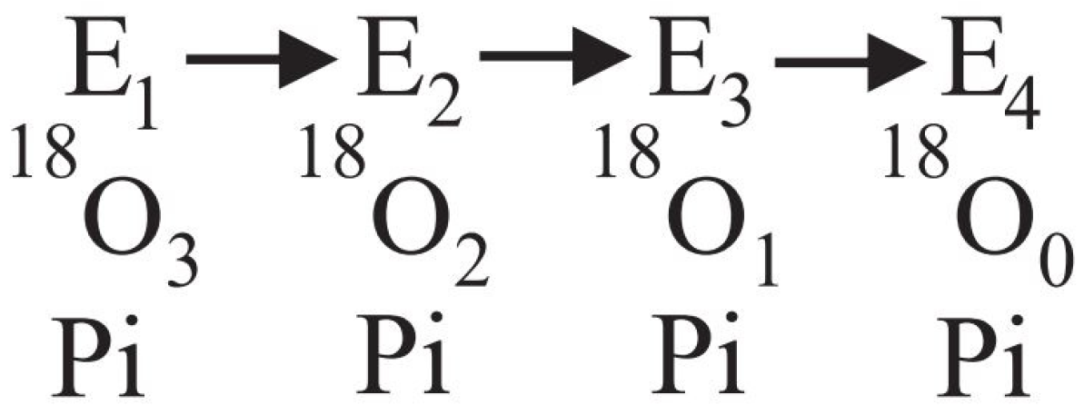 Molecules 28 07486 g001