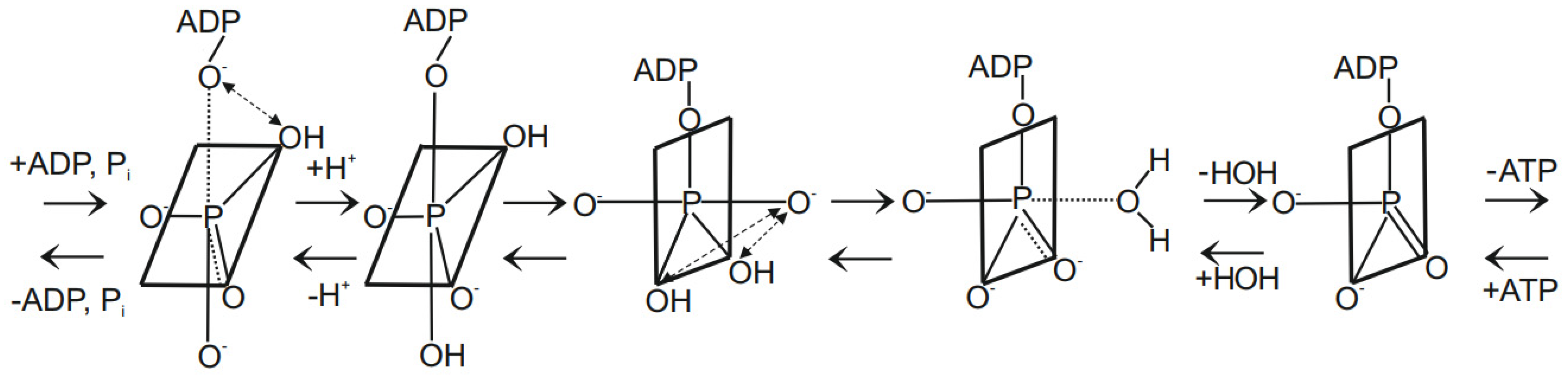 Molecules 28 07486 g005