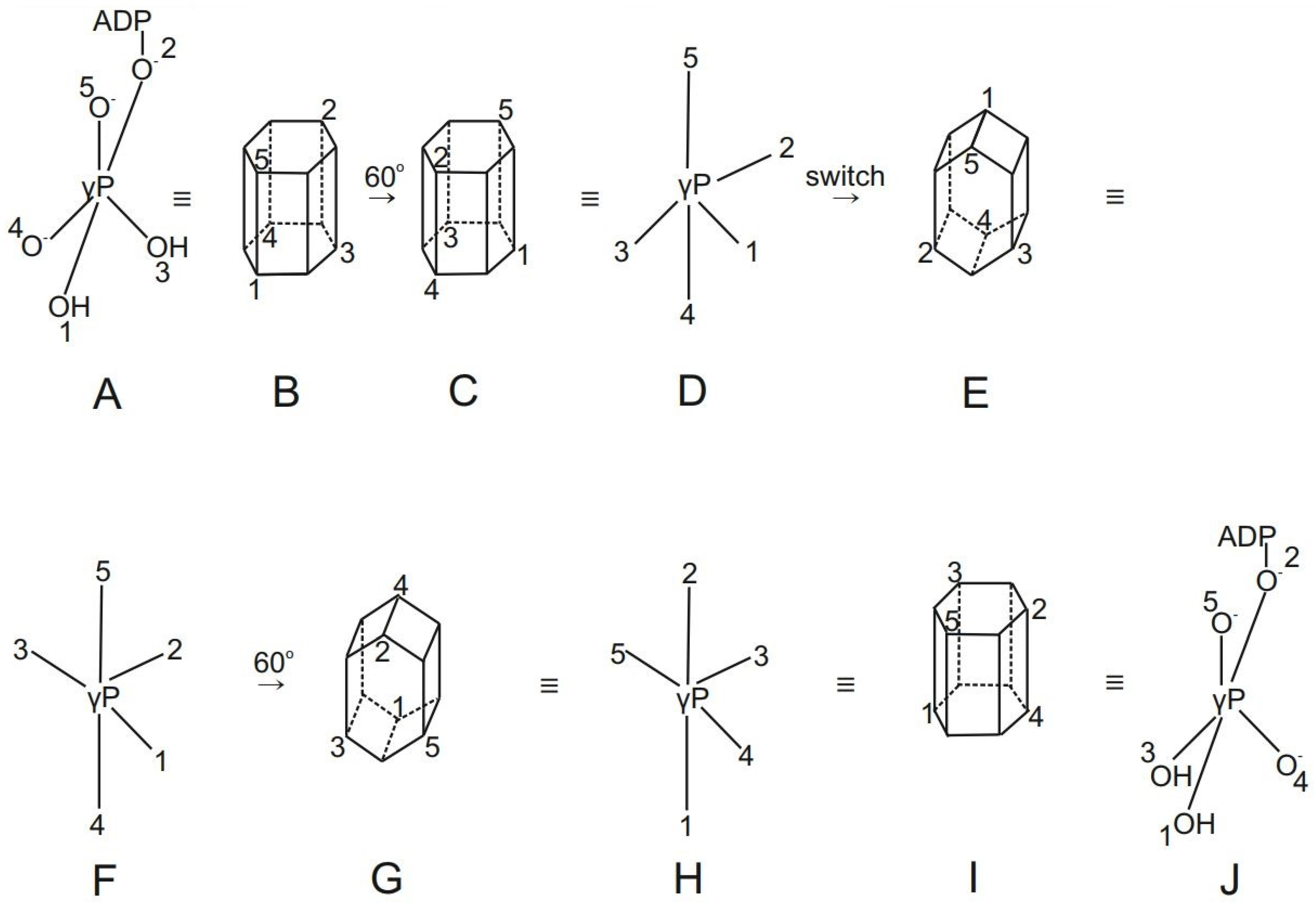 Molecules 28 07486 g006