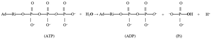 Molecules 28 07486 i001