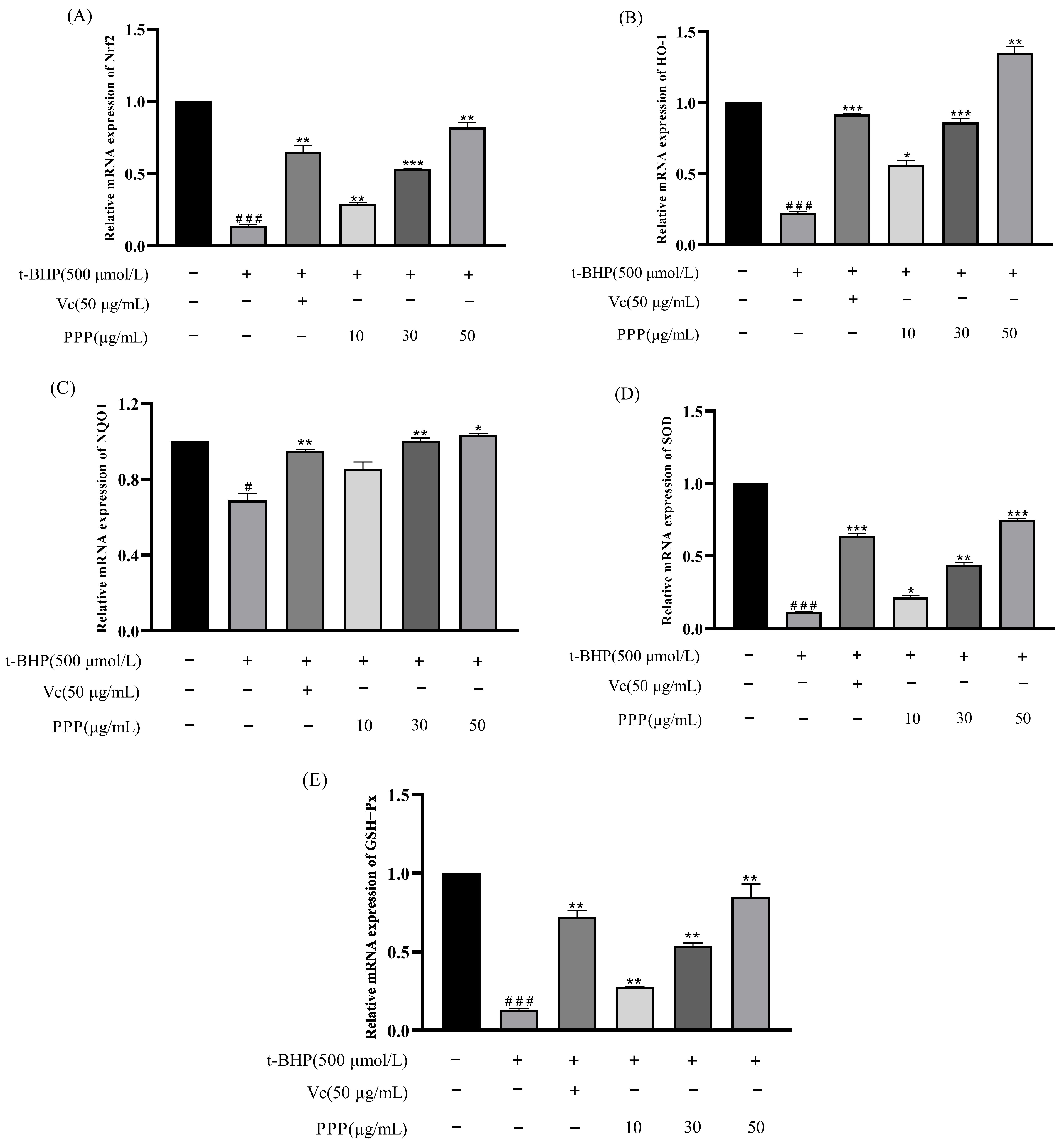 Molecules 28 07487 g008
