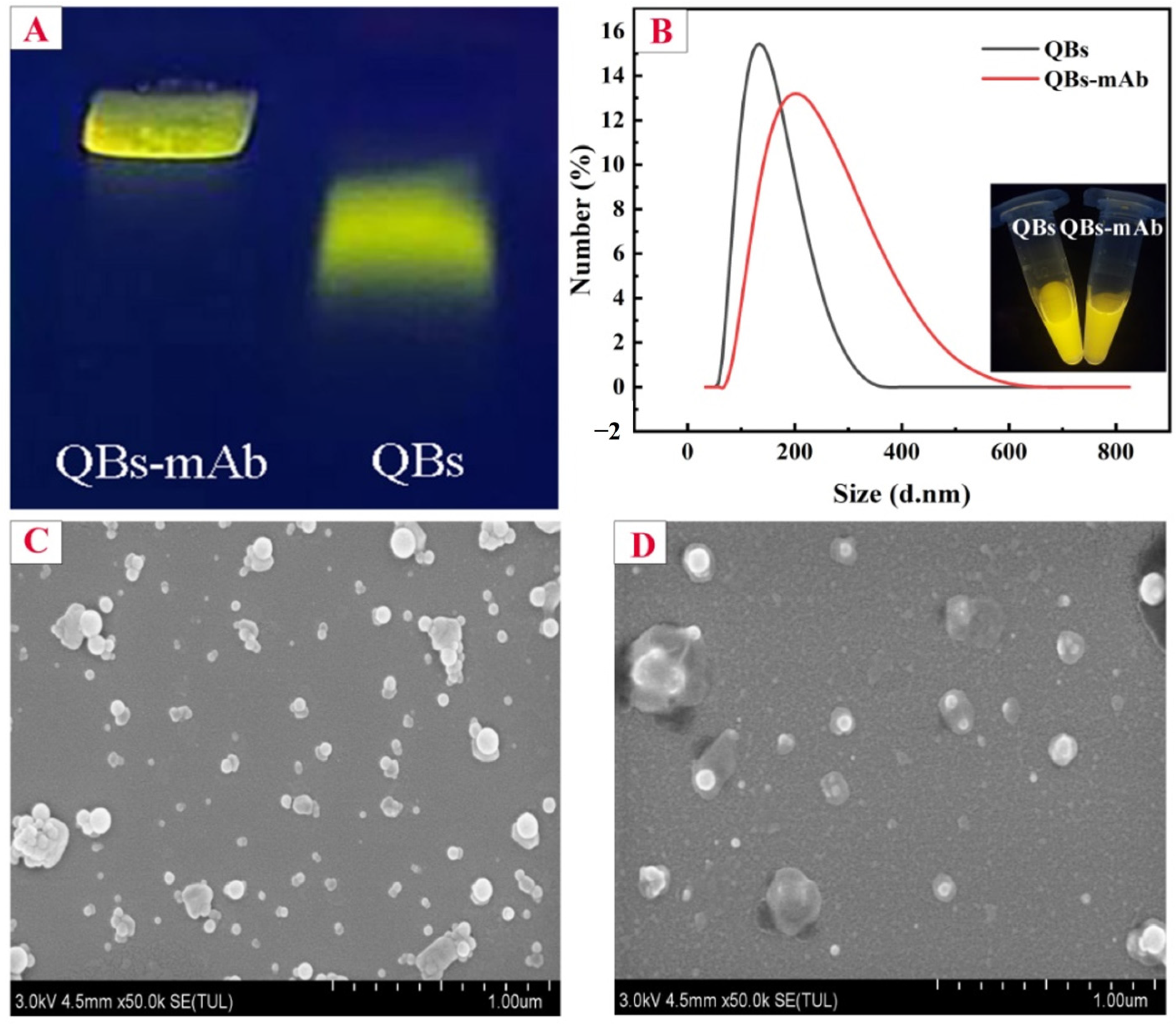 Molecules 28 07496 g001
