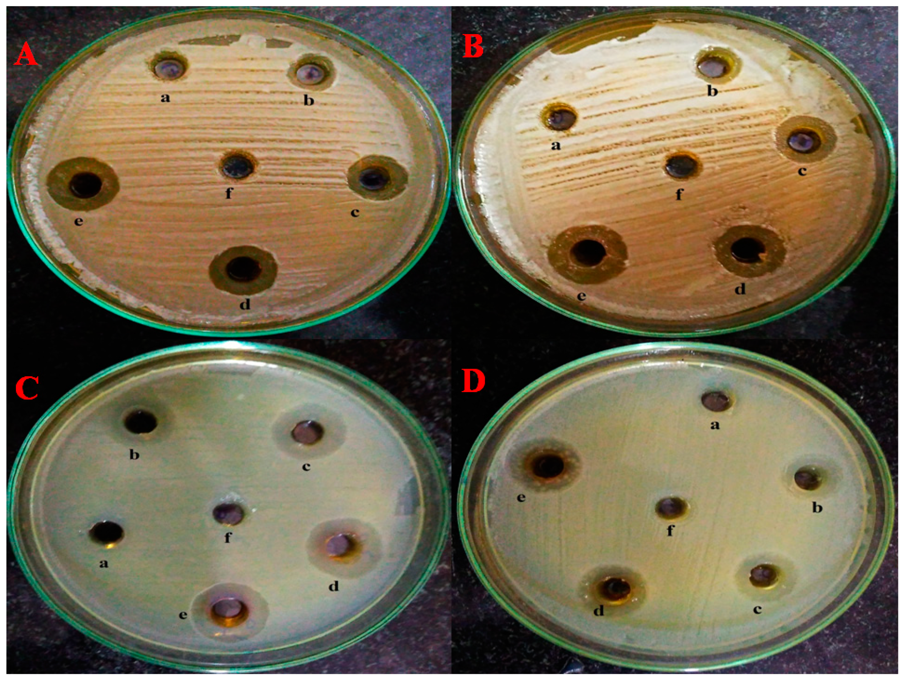 Molecules 28 07499 g006