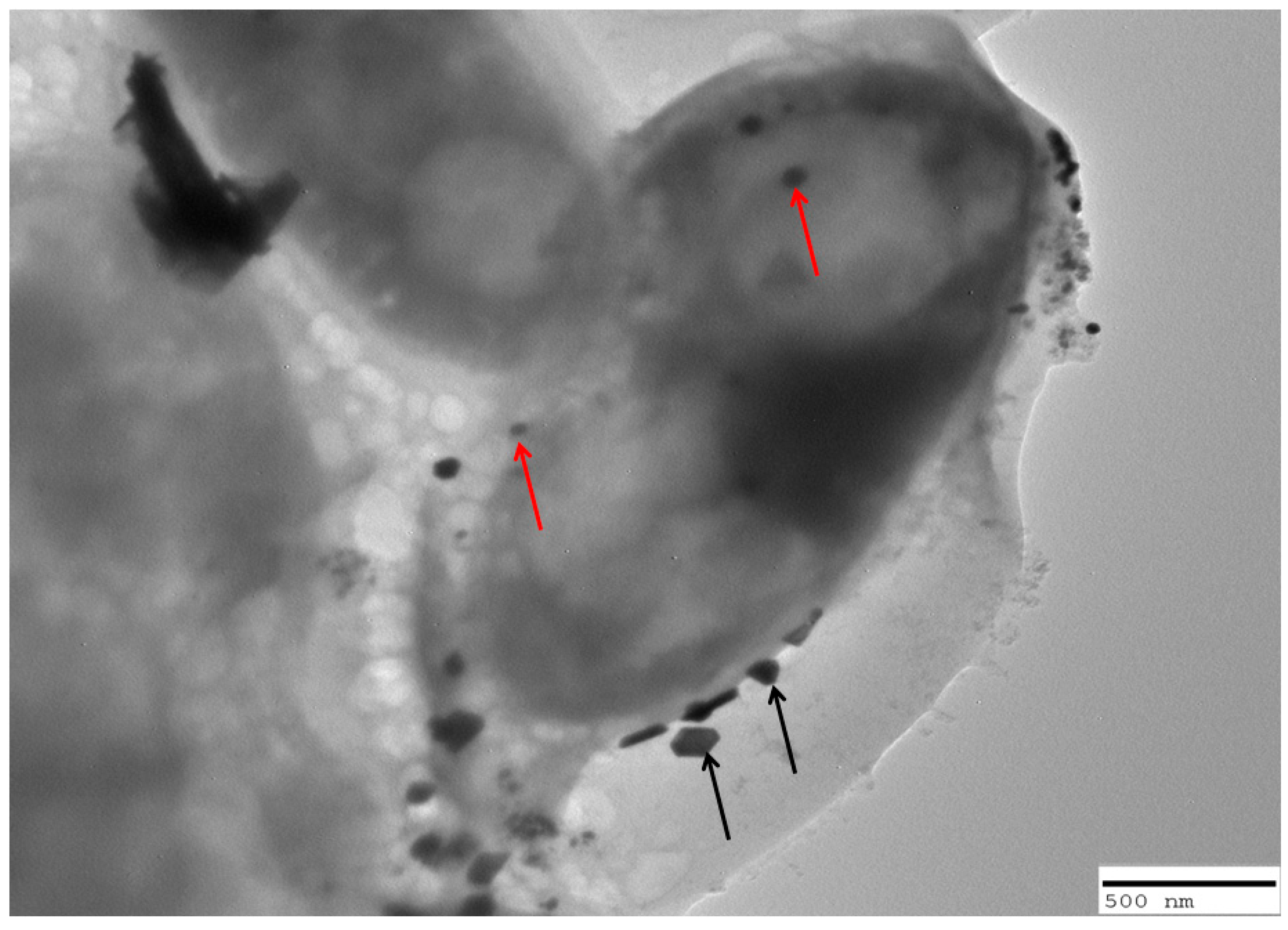 Molecules 28 07499 g007
