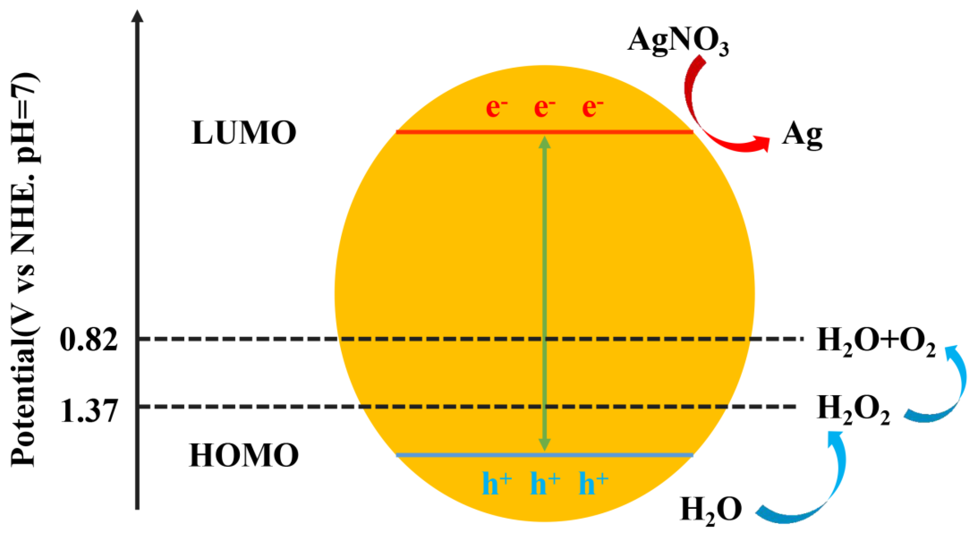 Molecules 28 07500 g005