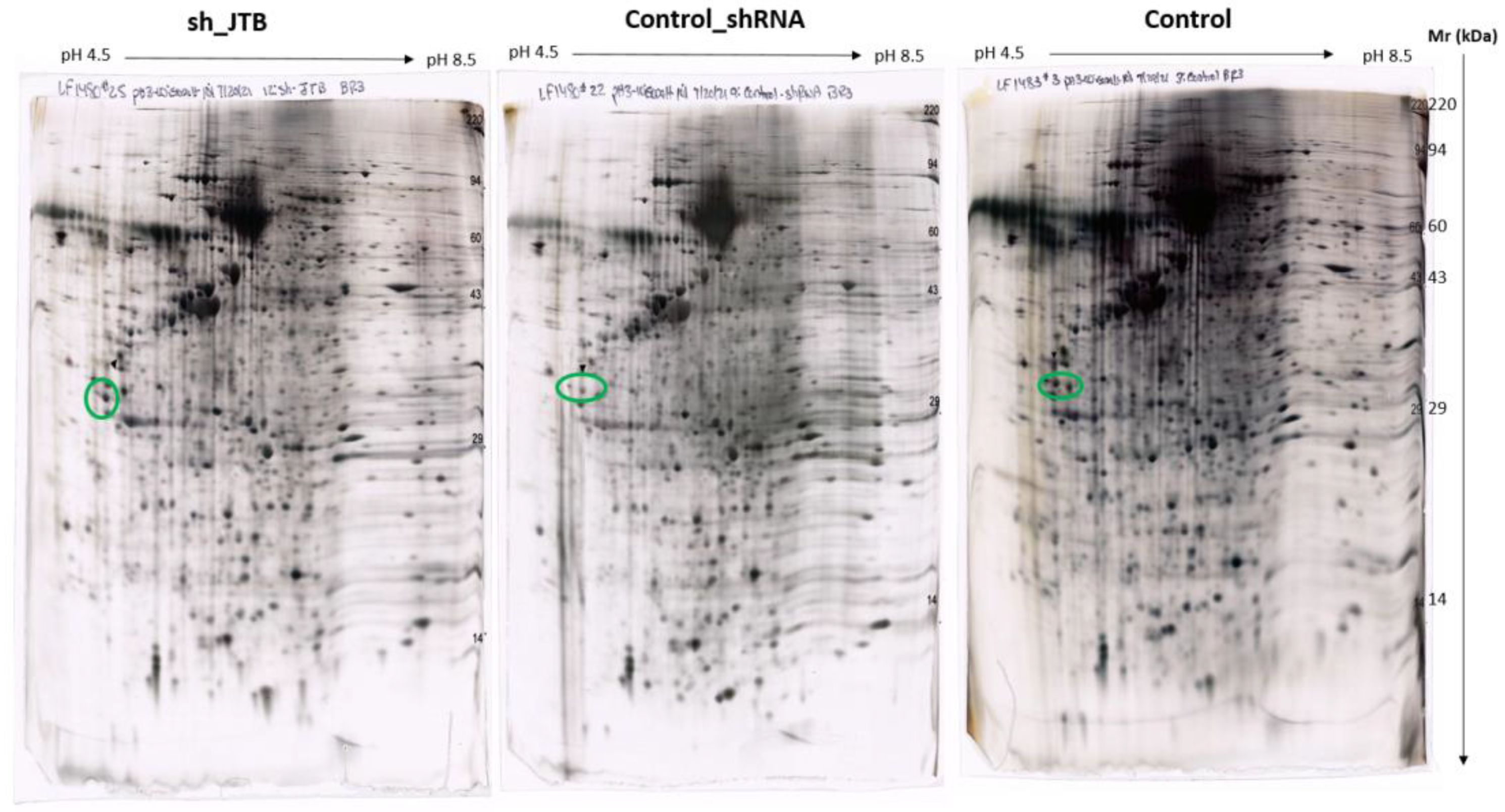 Molecules 28 07501 g003 Molecules 28 07501 g003