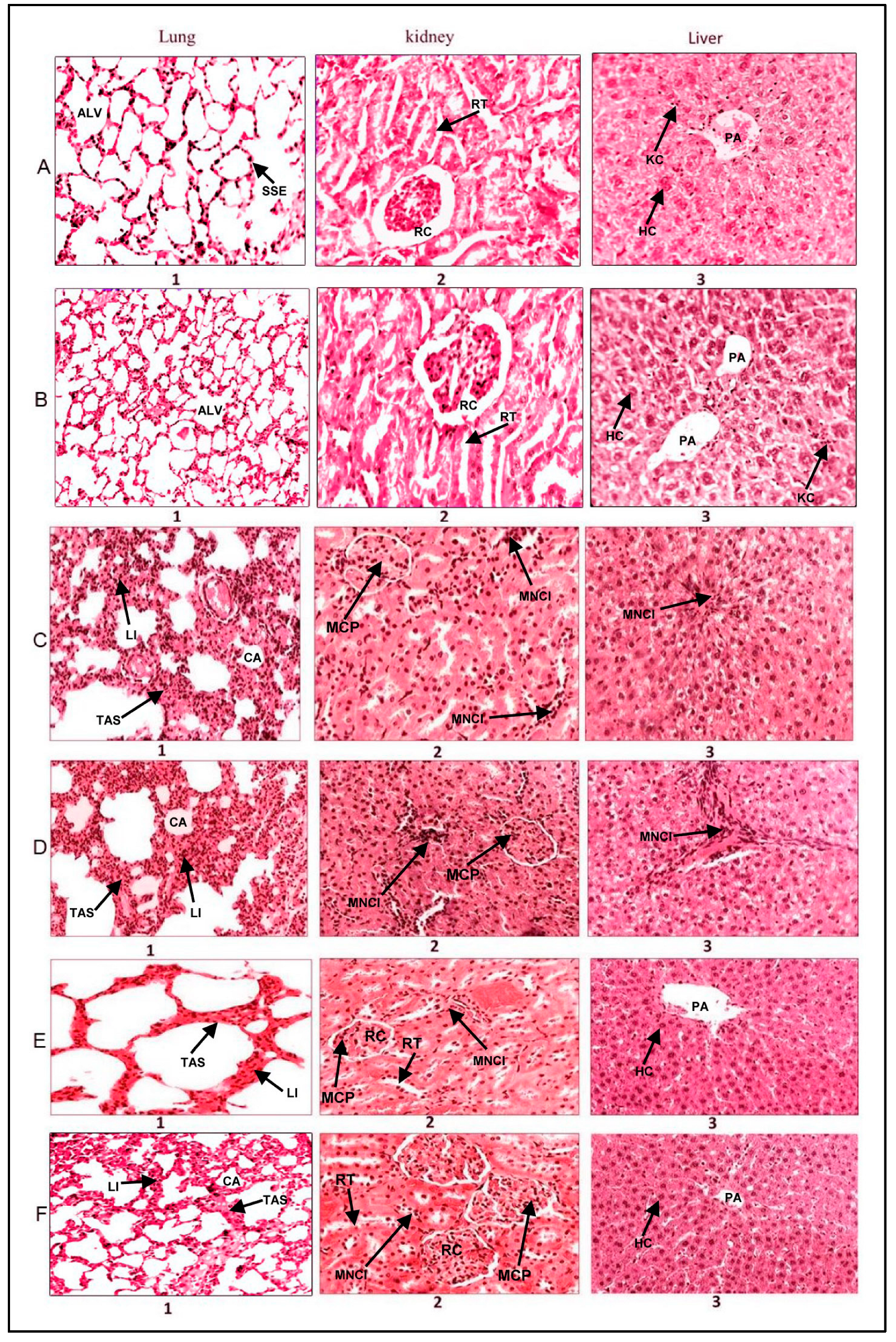 Molecules 28 07502 g005