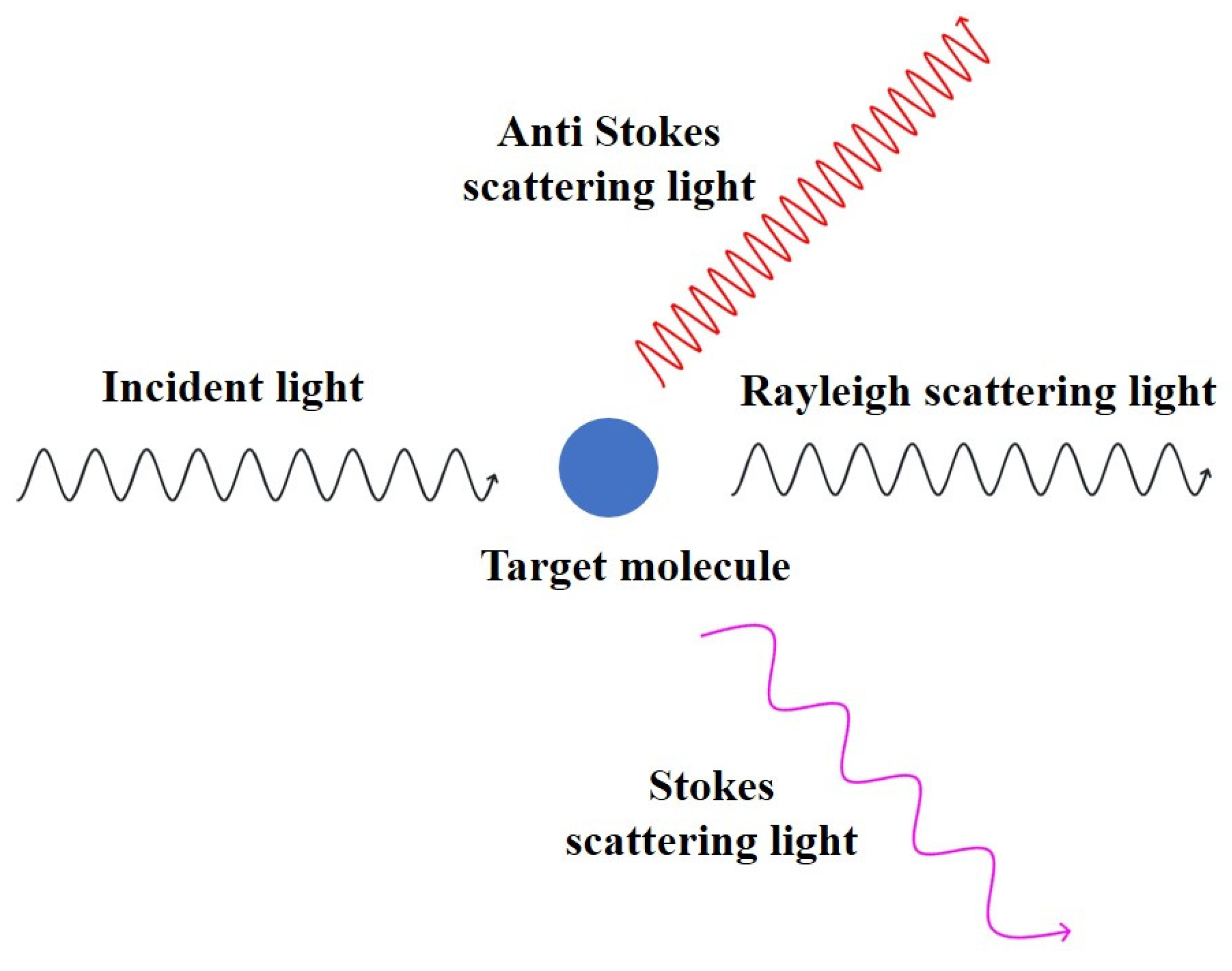 Molecules 28 07504 g002