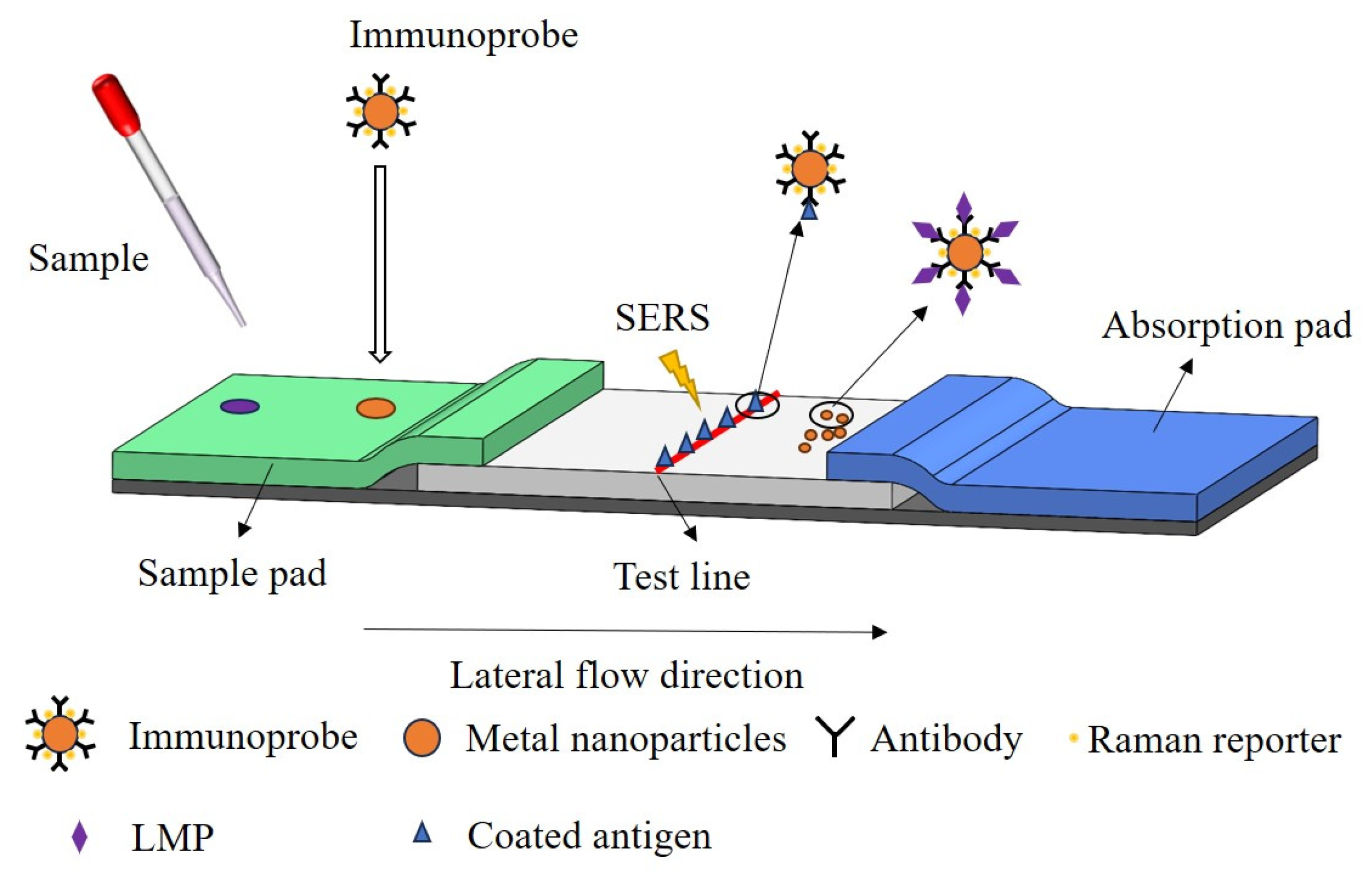 Molecules 28 07504 g004