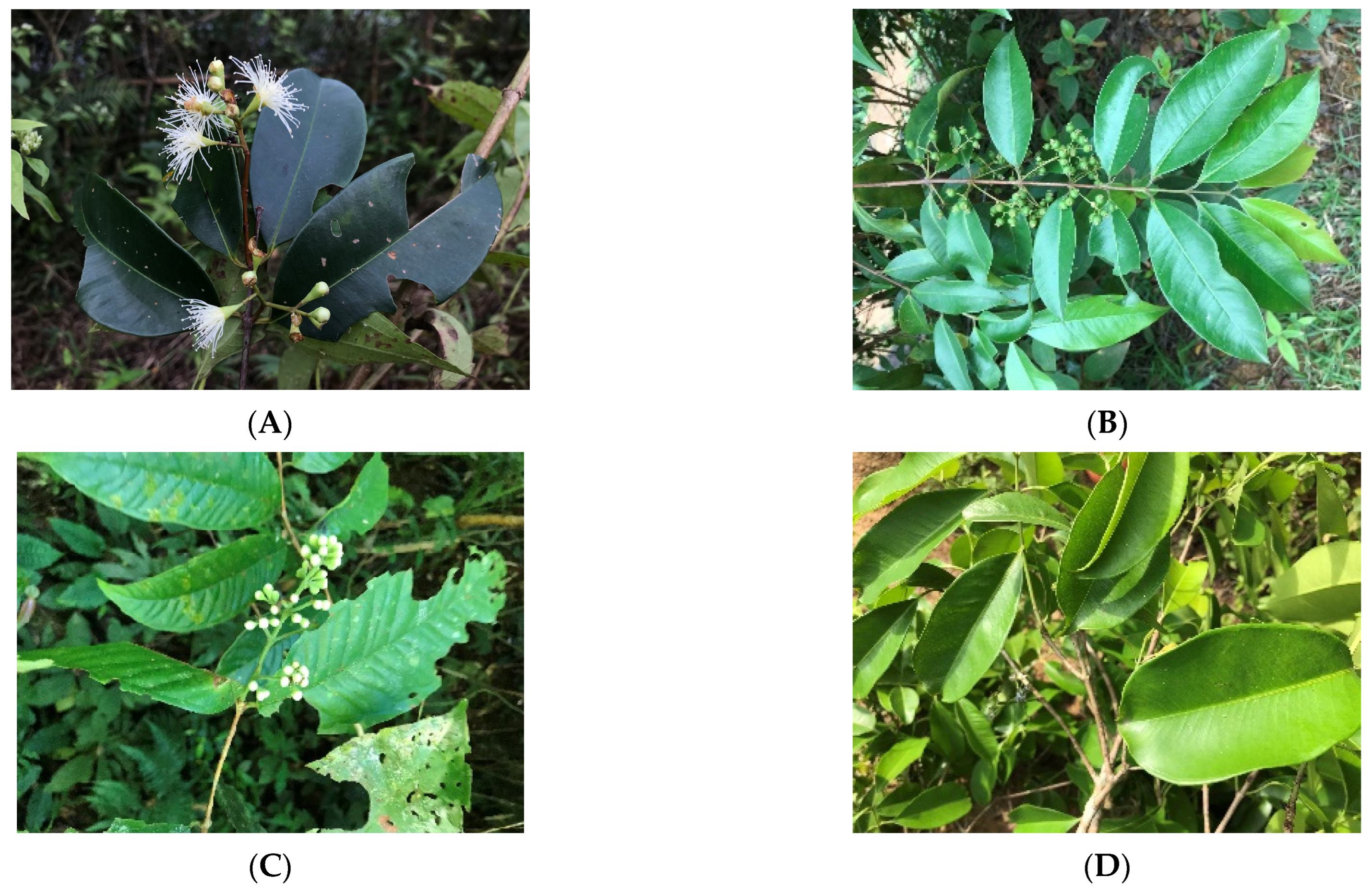 Molecules 28 07505 g001a