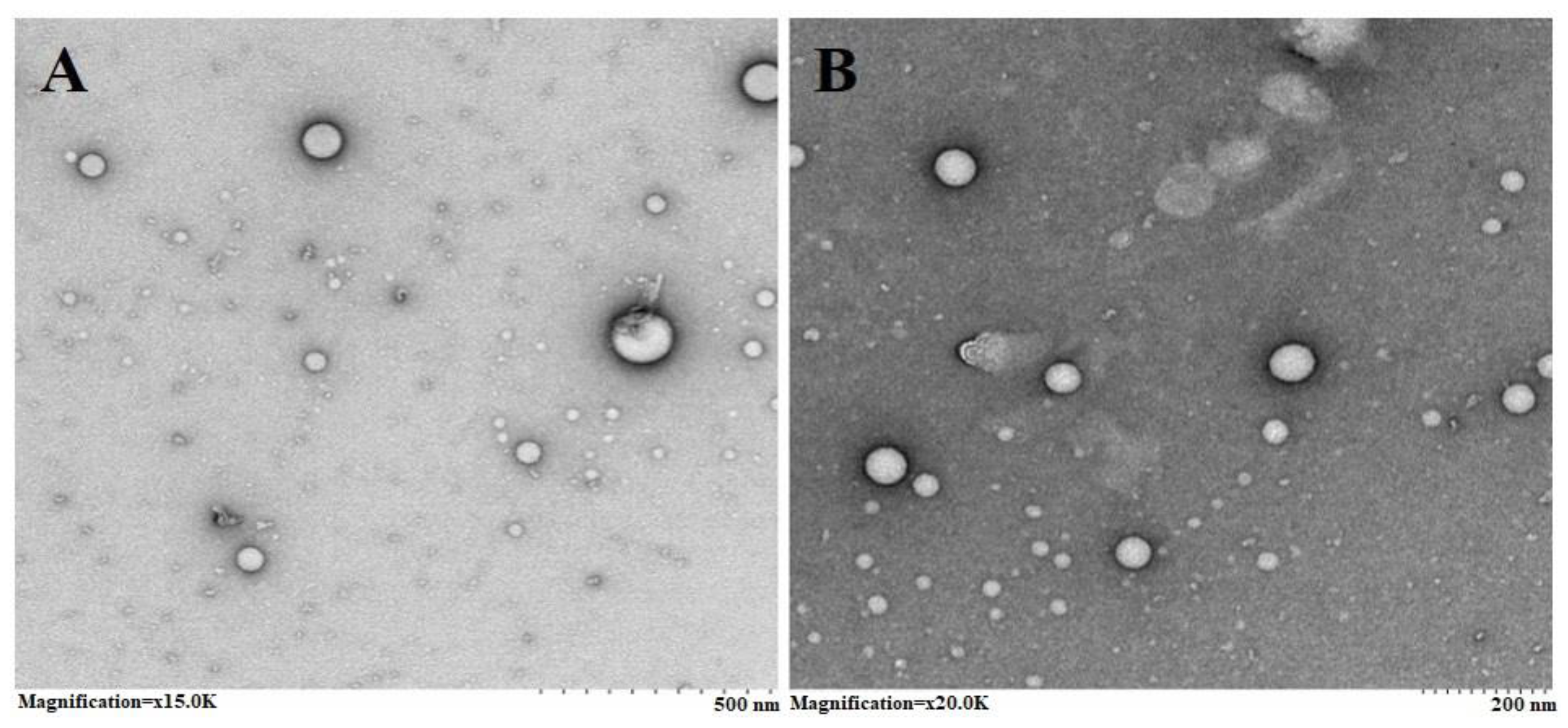 Molecules 28 07508 g002