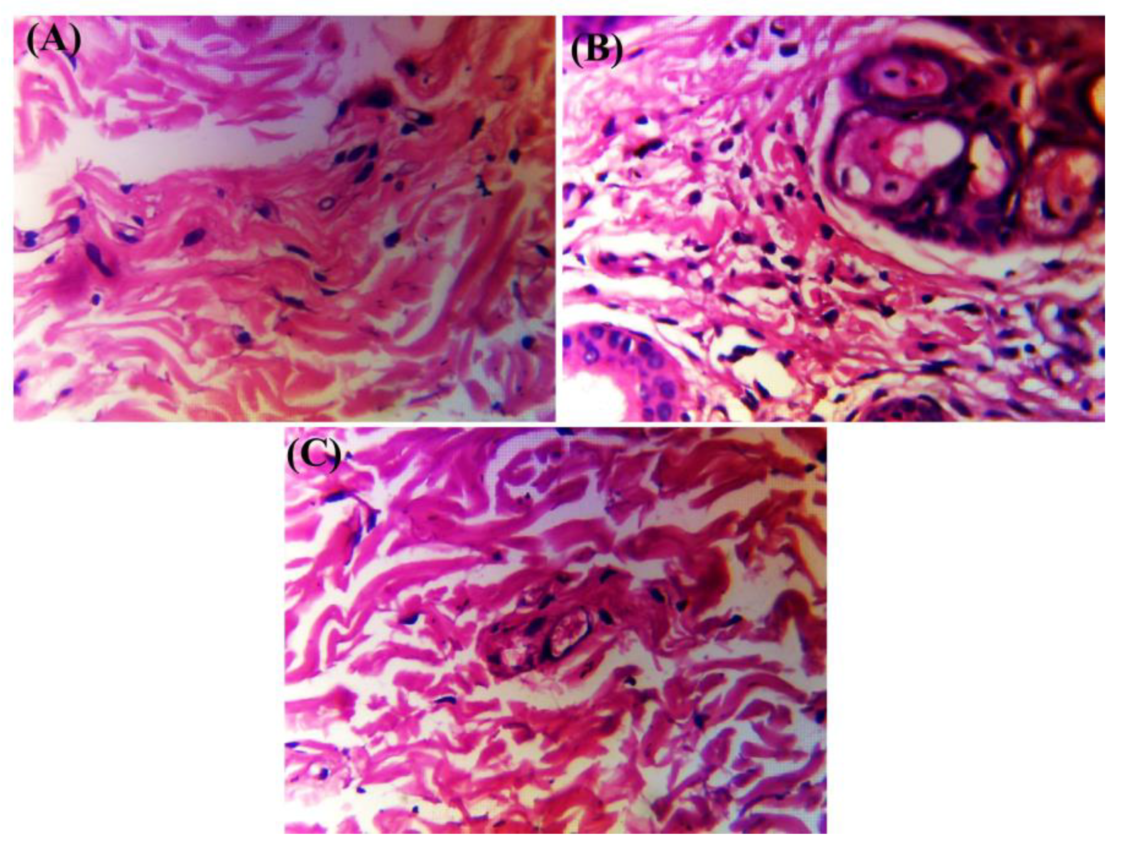 Molecules 28 07508 g010