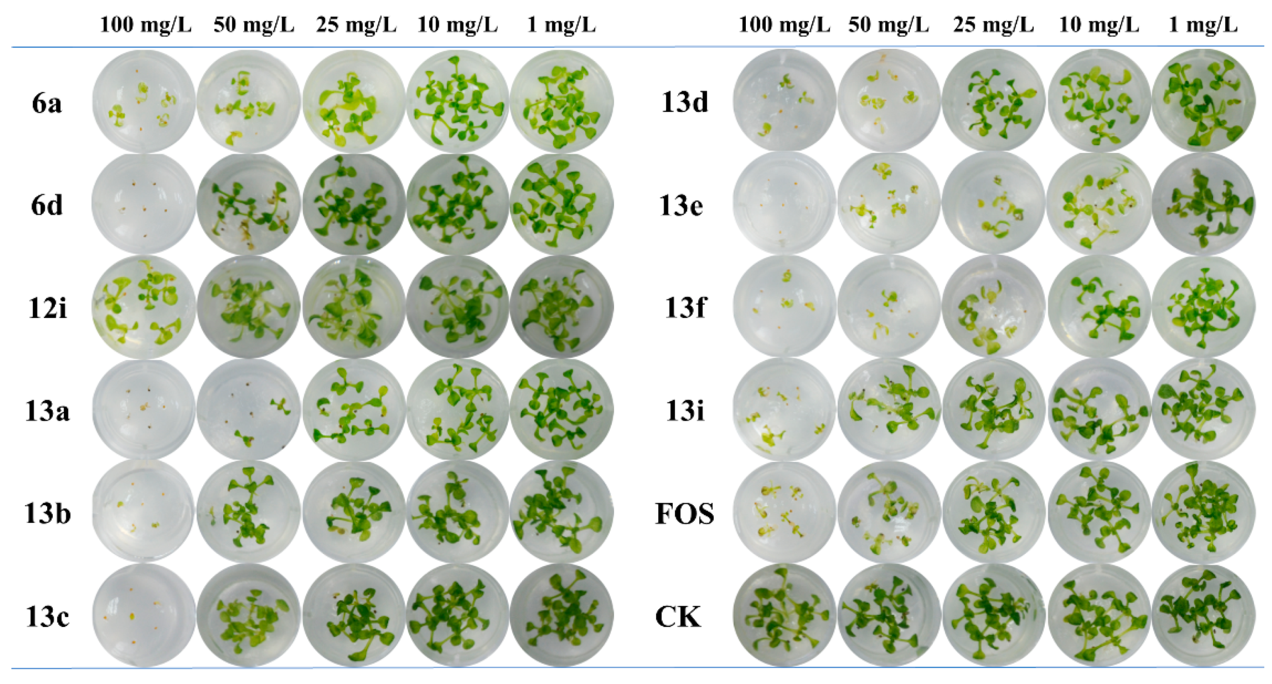 Molecules 28 07509 g003 Molecules 28 07509 g003