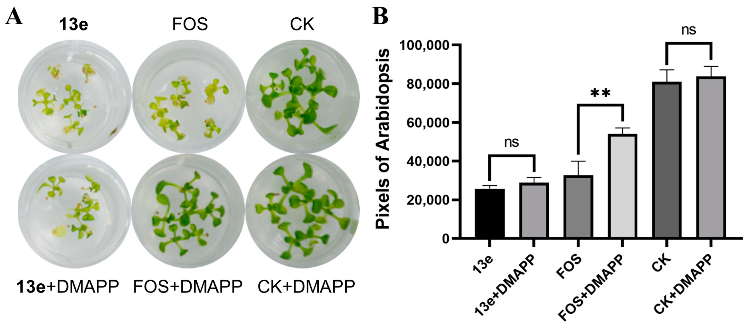 Molecules 28 07509 g005 Molecules 28 07509 g005