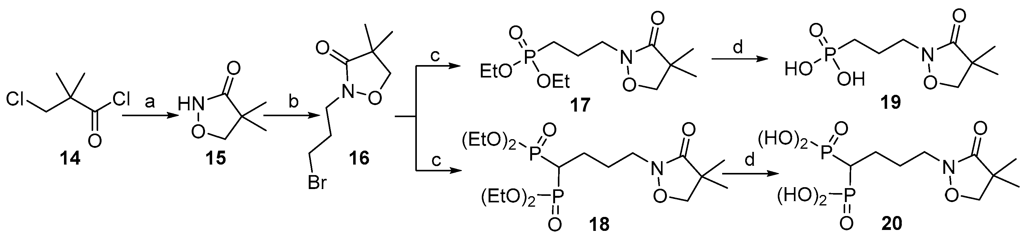 Molecules 28 07509 sch003 Molecules 28 07509 sch003