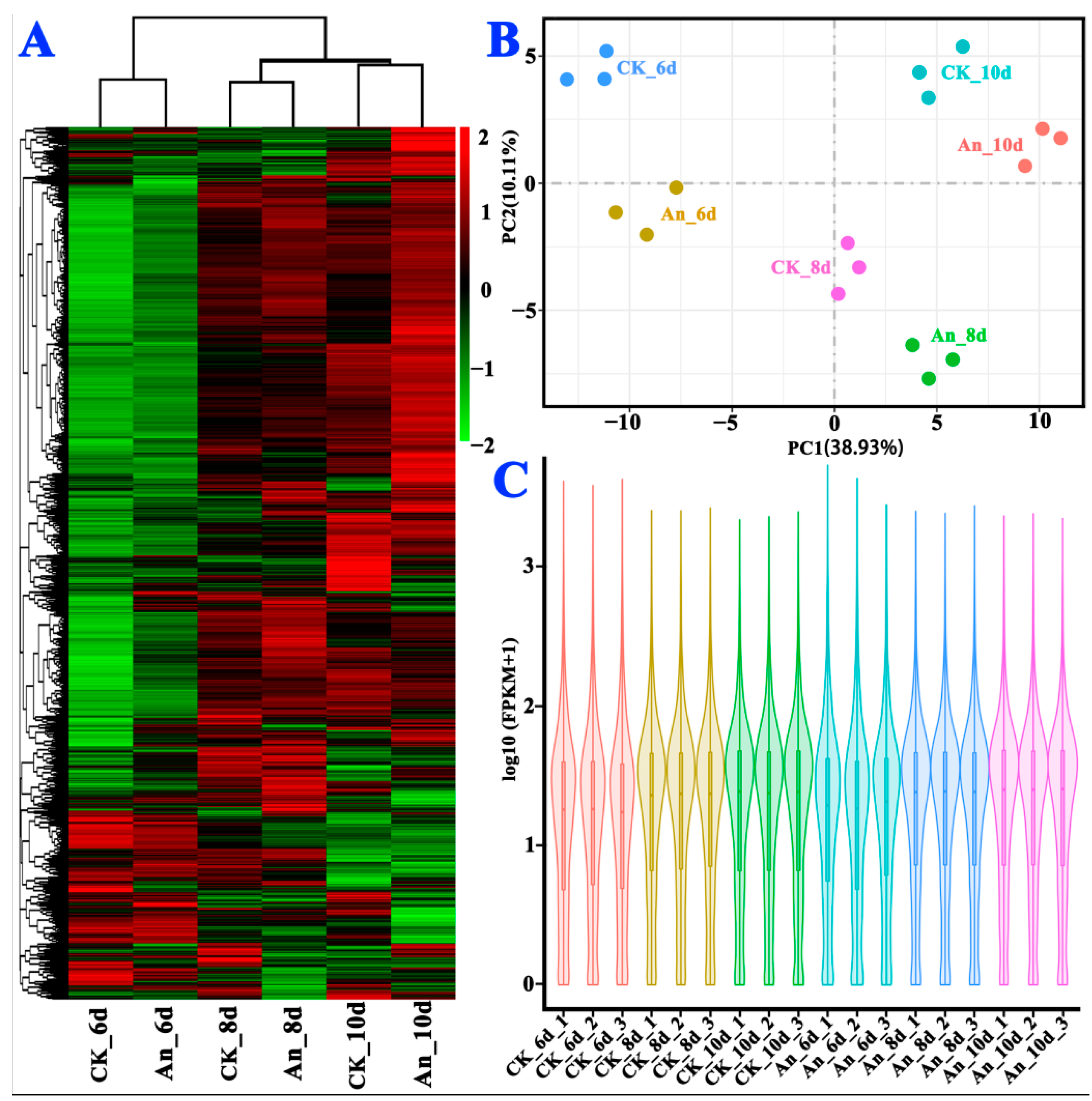 Molecules 28 07511 g004