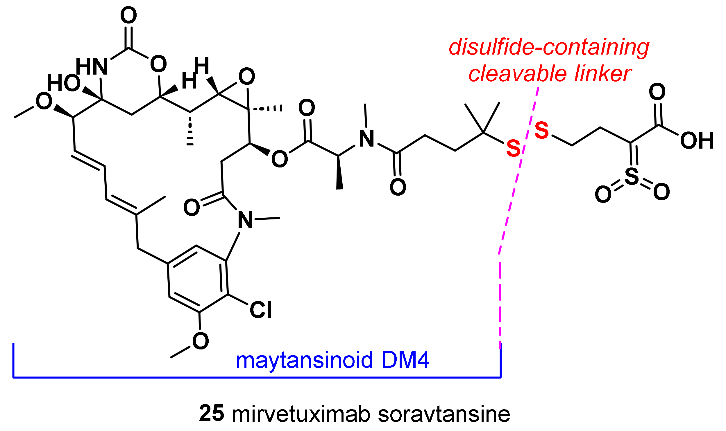 Molecules 28 07513 g008 Molecules 28 07513 g008