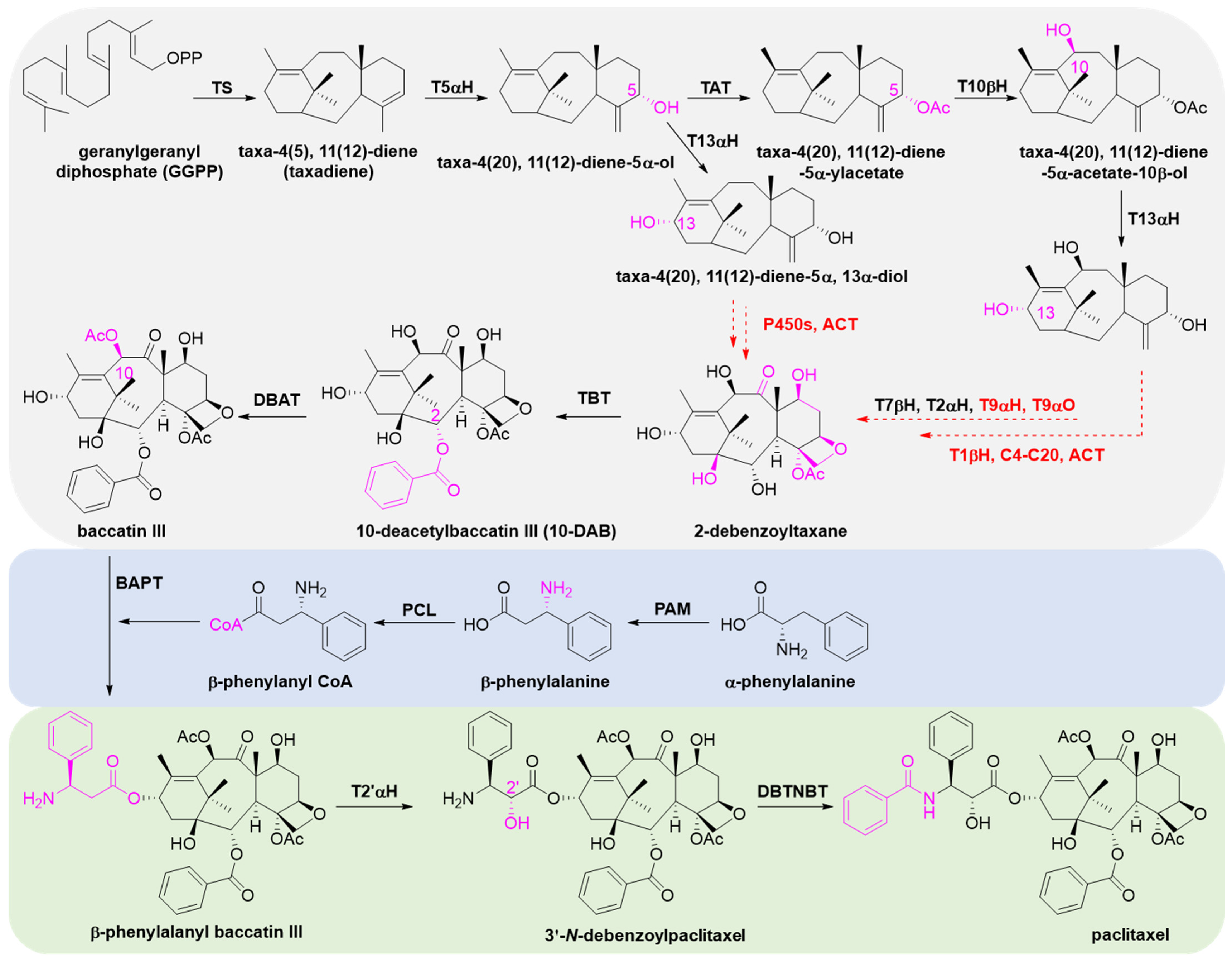 Molecules 28 07517 g010 Molecules 28 07517 g010