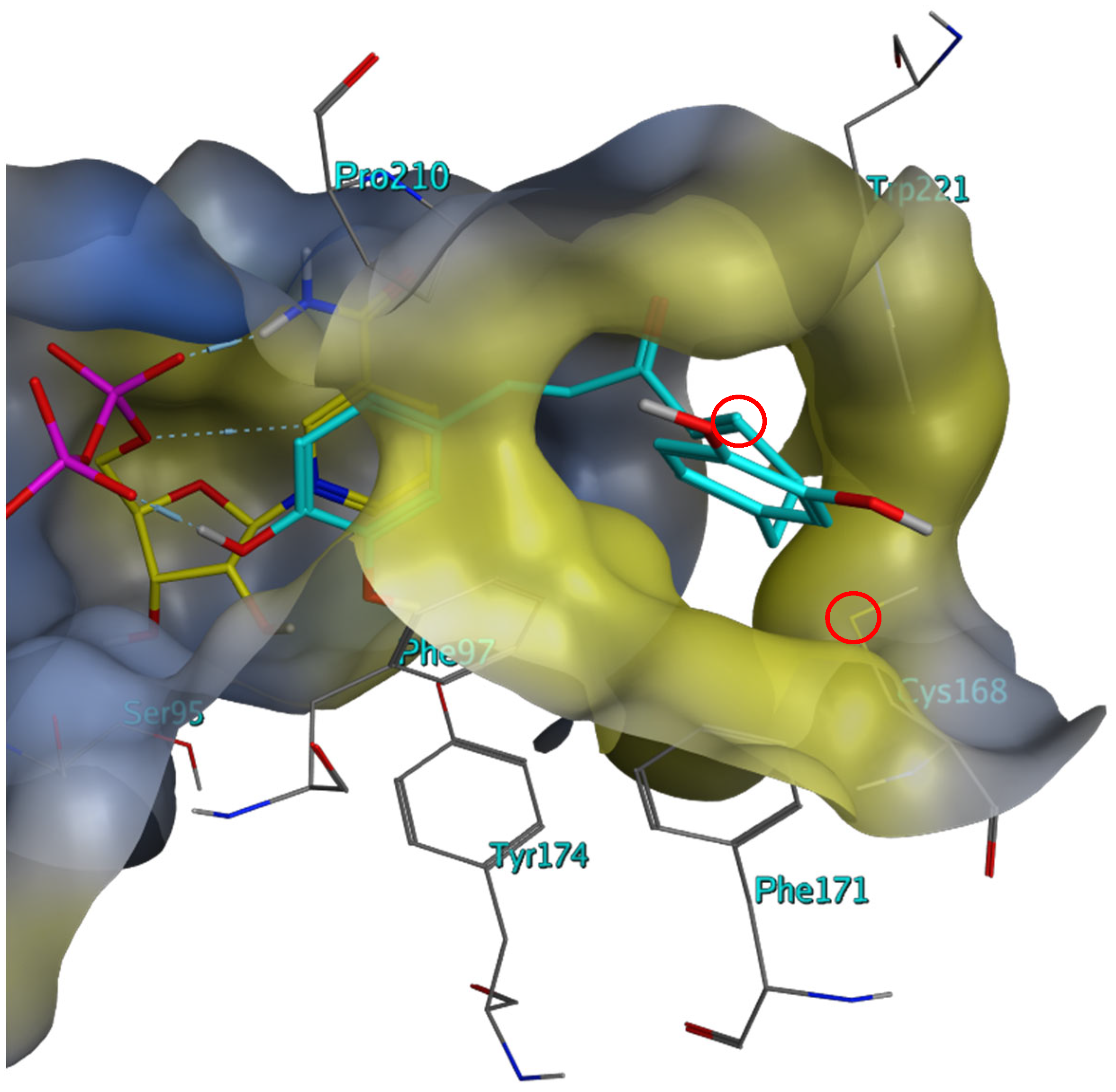 Molecules 28 07526 g004