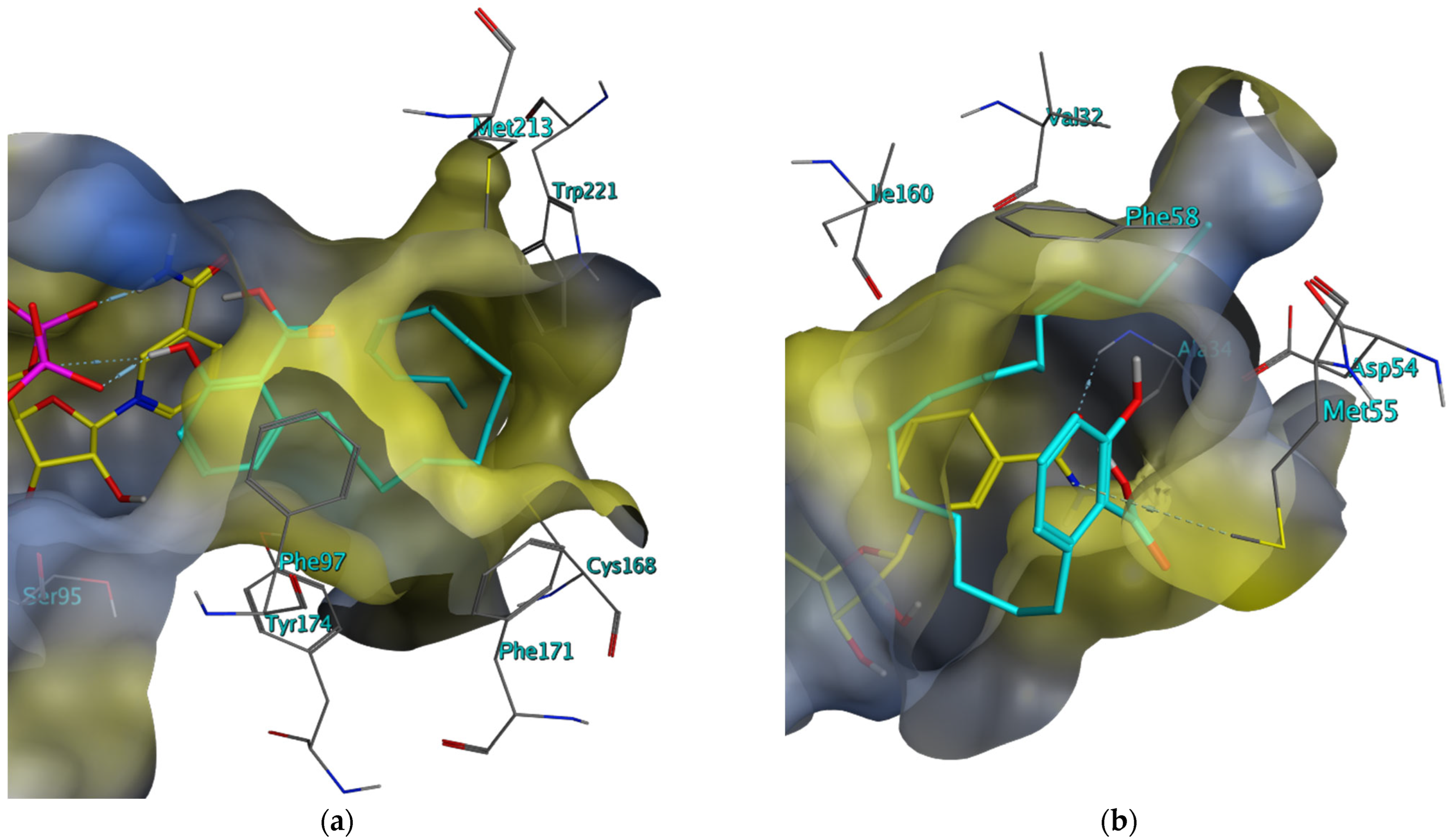 Molecules 28 07526 g005