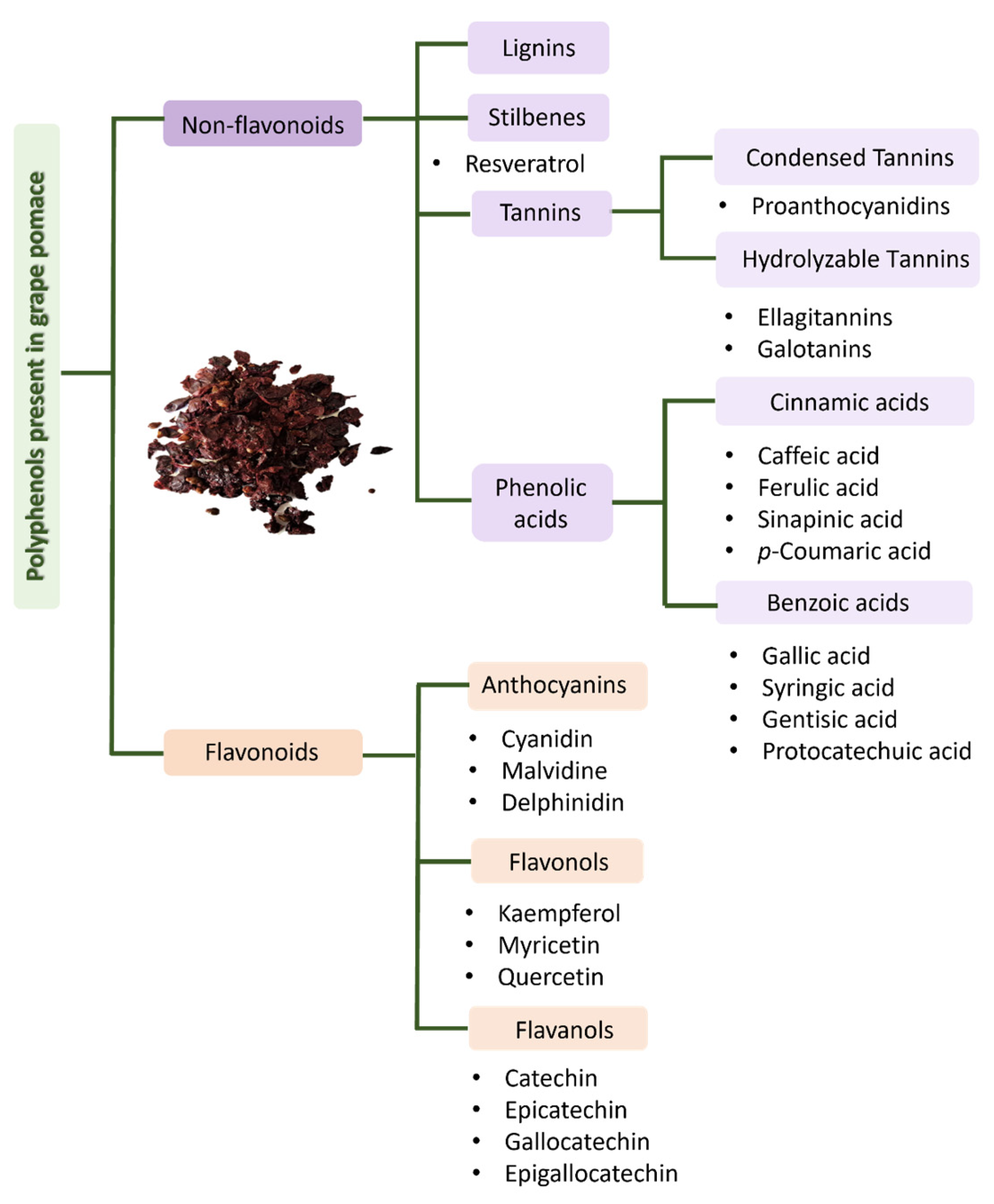 Molecules 28 07538 g007