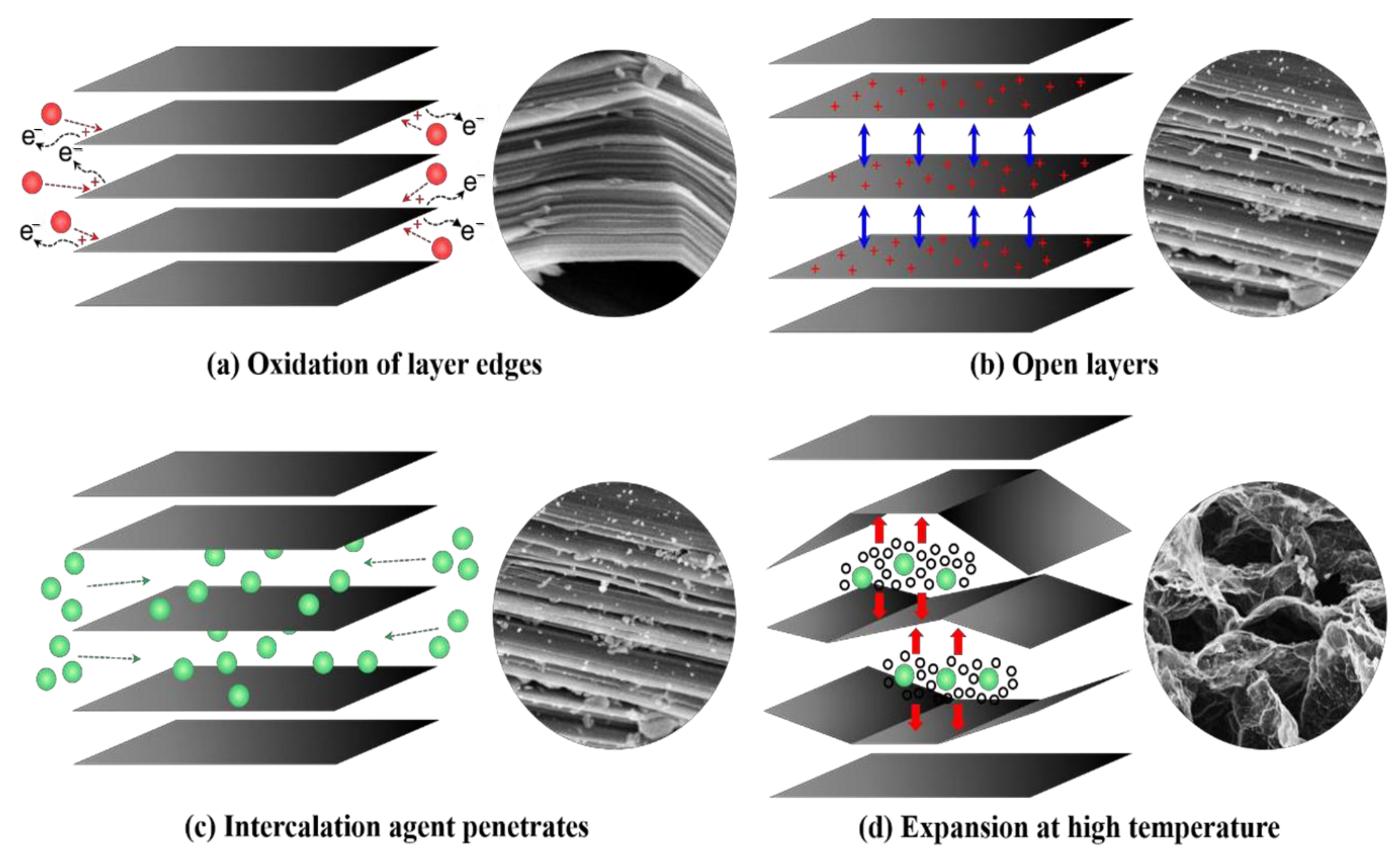 Molecules 28 07549 g006 Molecules 28 07549 g006