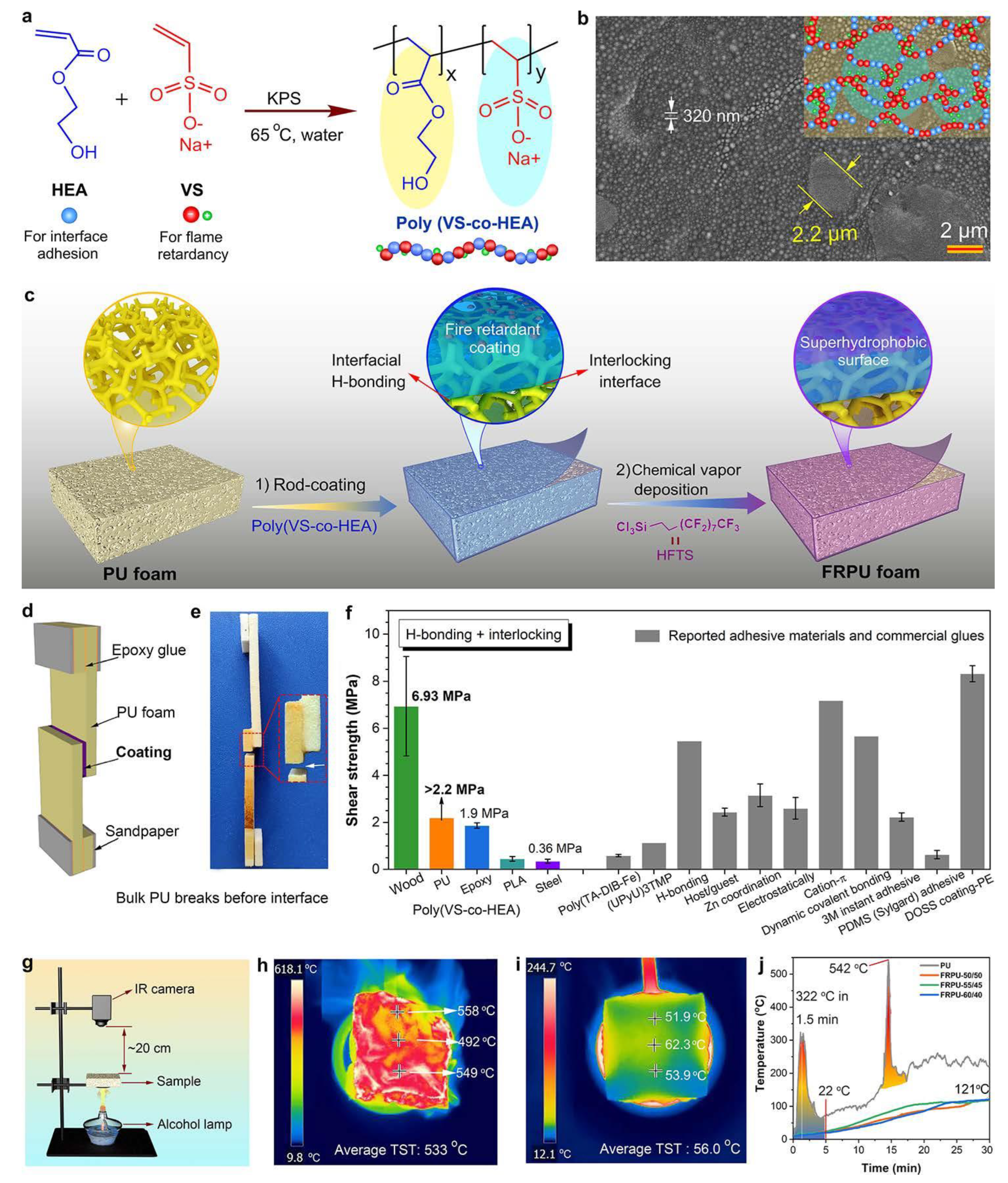 Molecules 28 07549 g009 Molecules 28 07549 g009