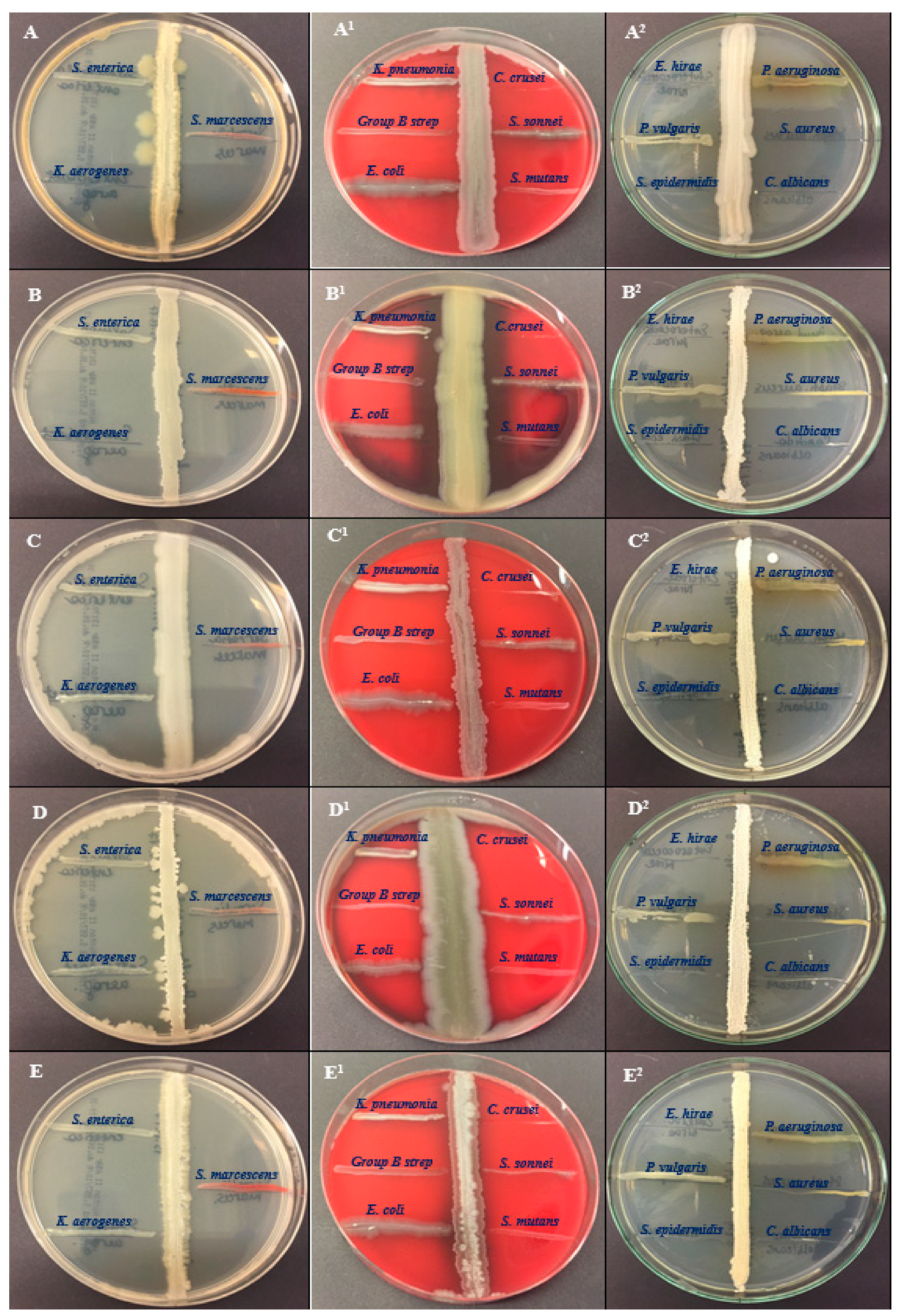 Molecules 28 07556 g001