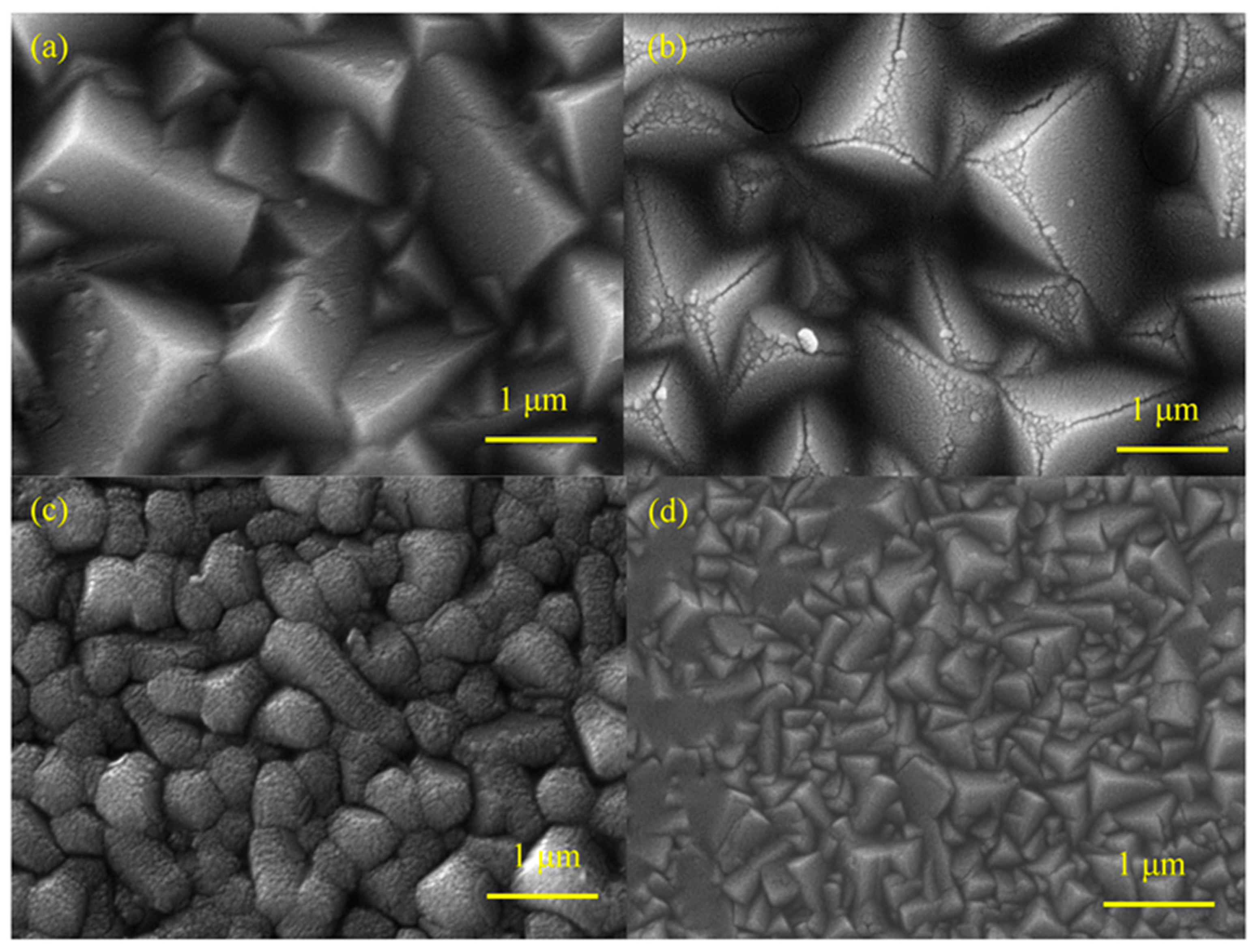 Molecules 28 07560 g004