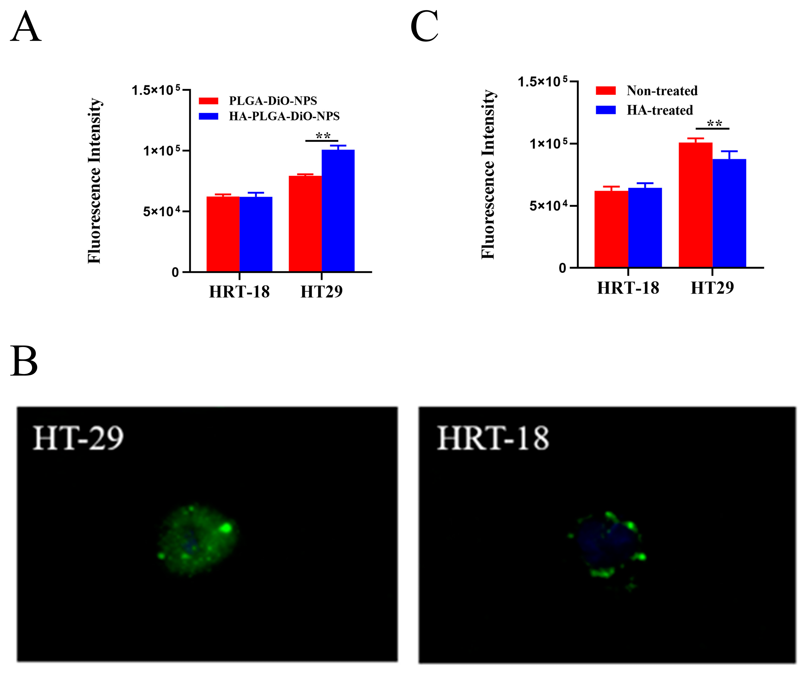 Molecules 28 07565 g003