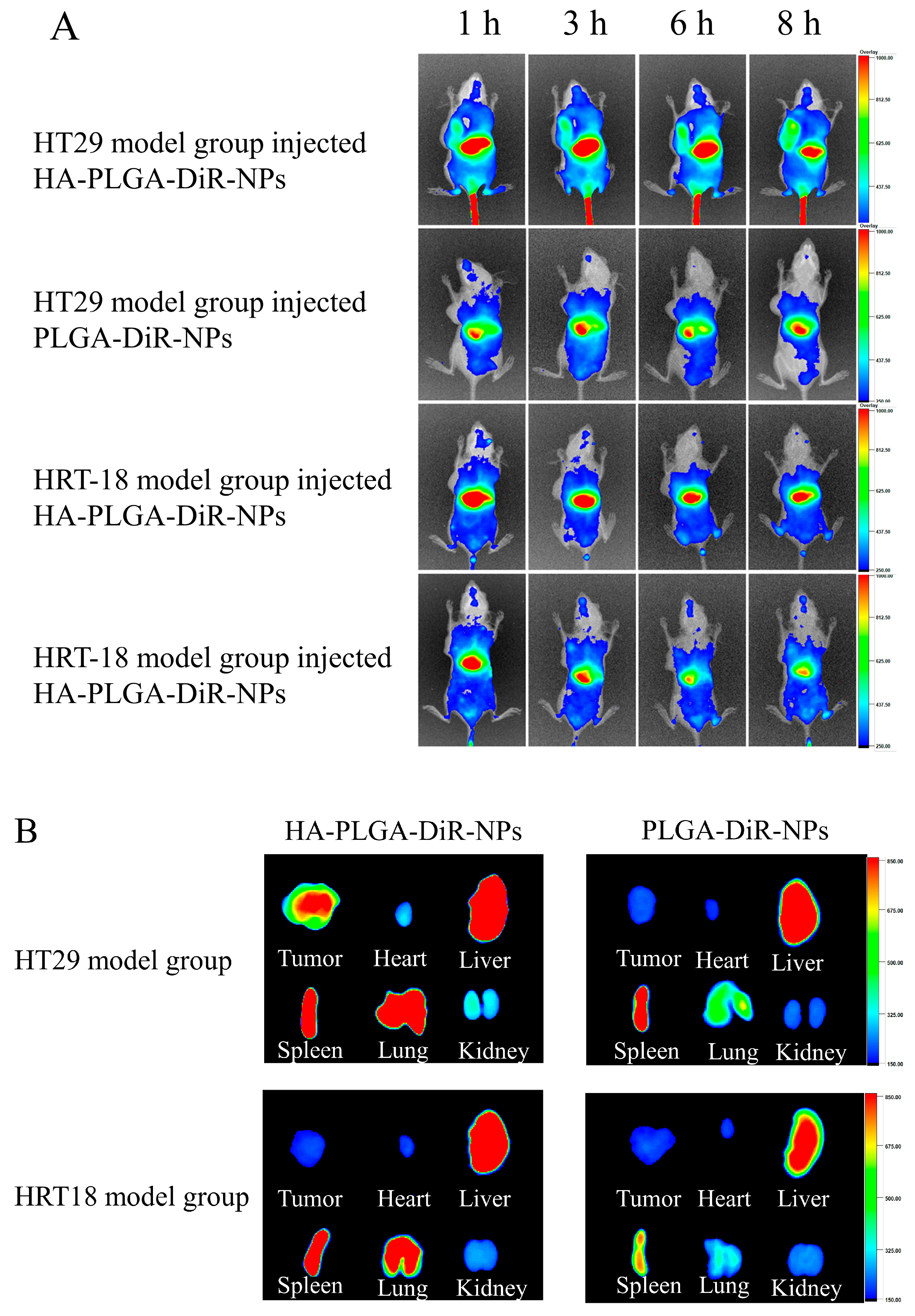 Molecules 28 07565 g005