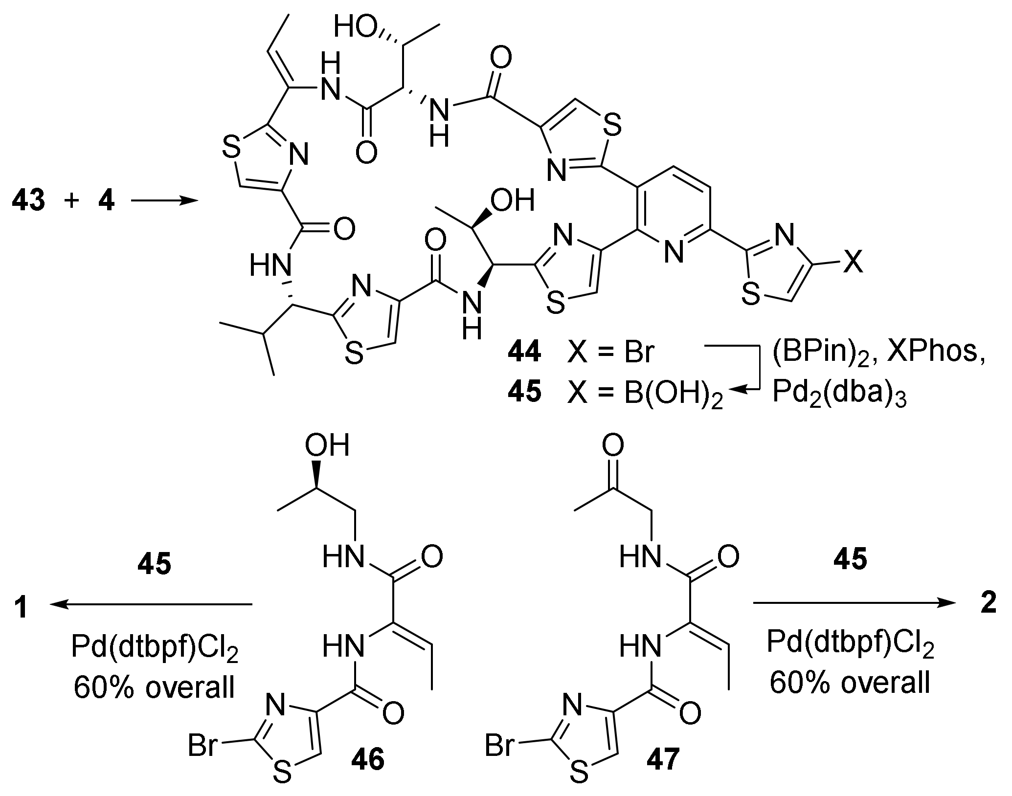 Molecules 28 07579 sch009