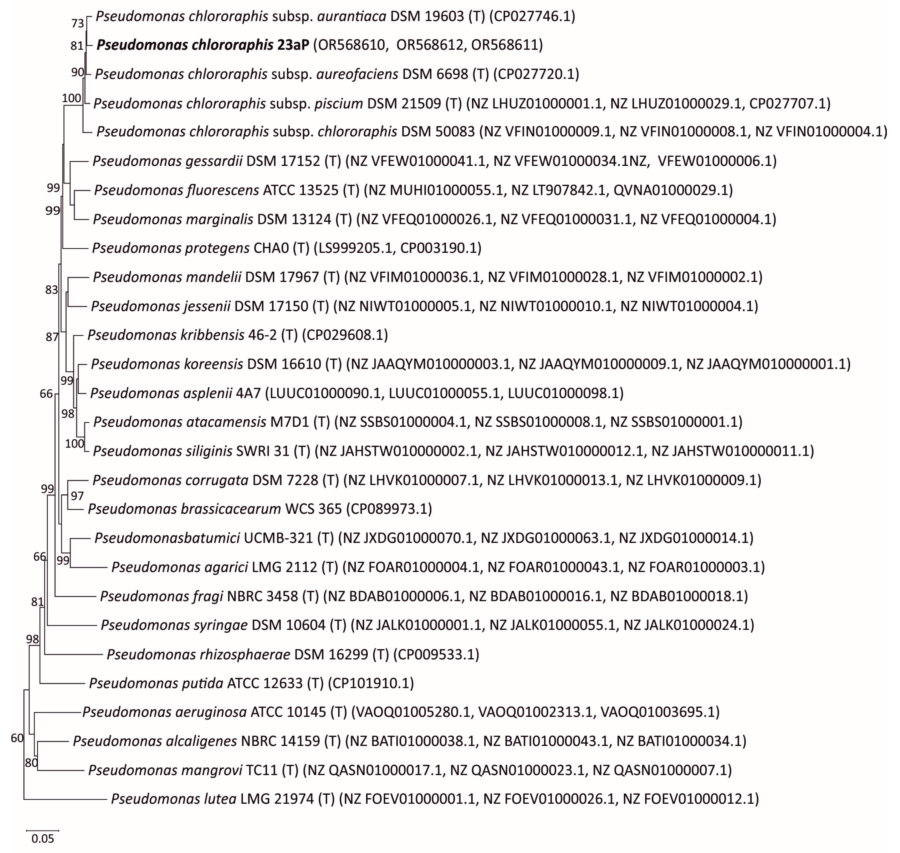 Molecules 28 07581 g001