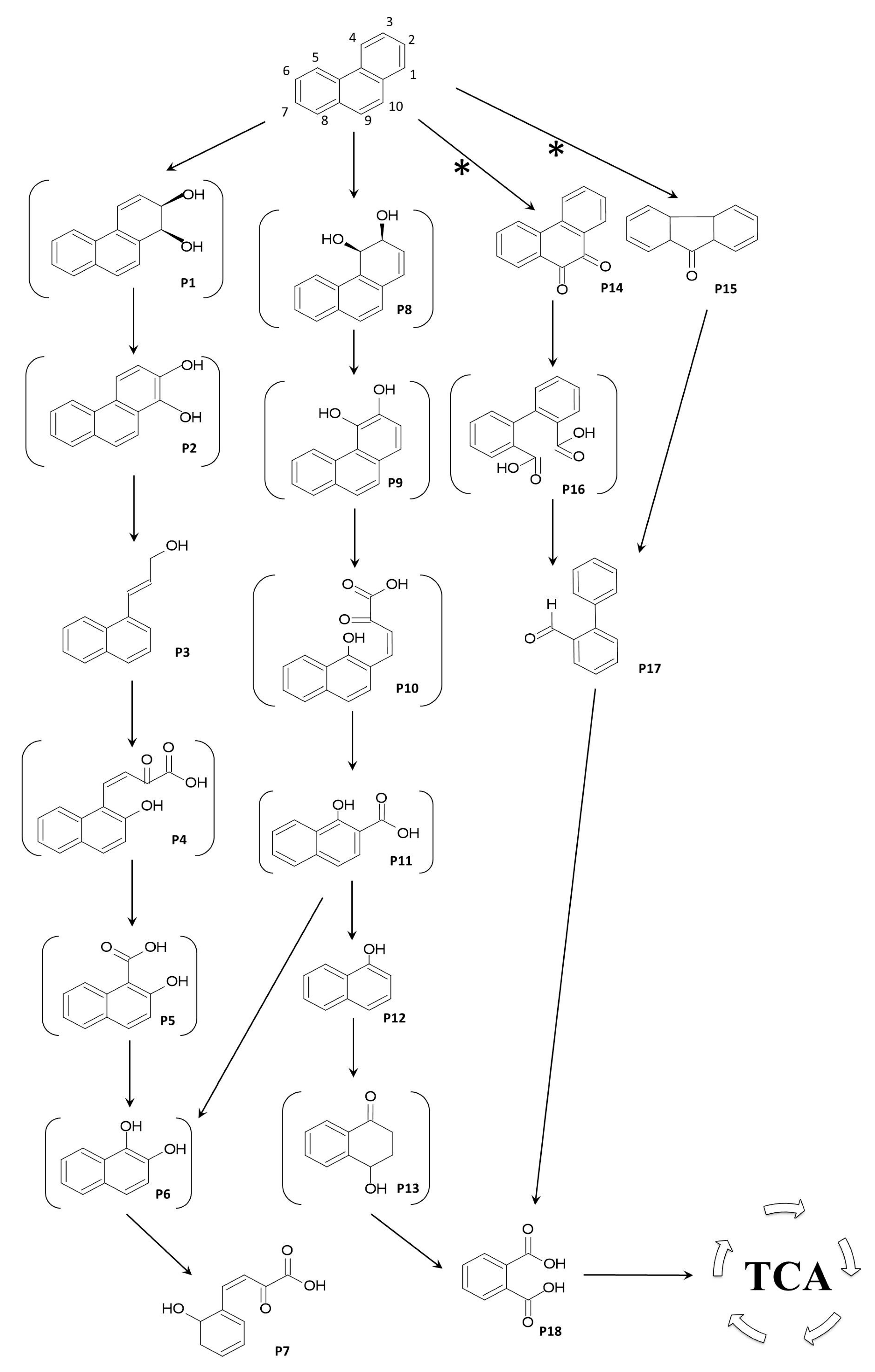 Molecules 28 07581 g003