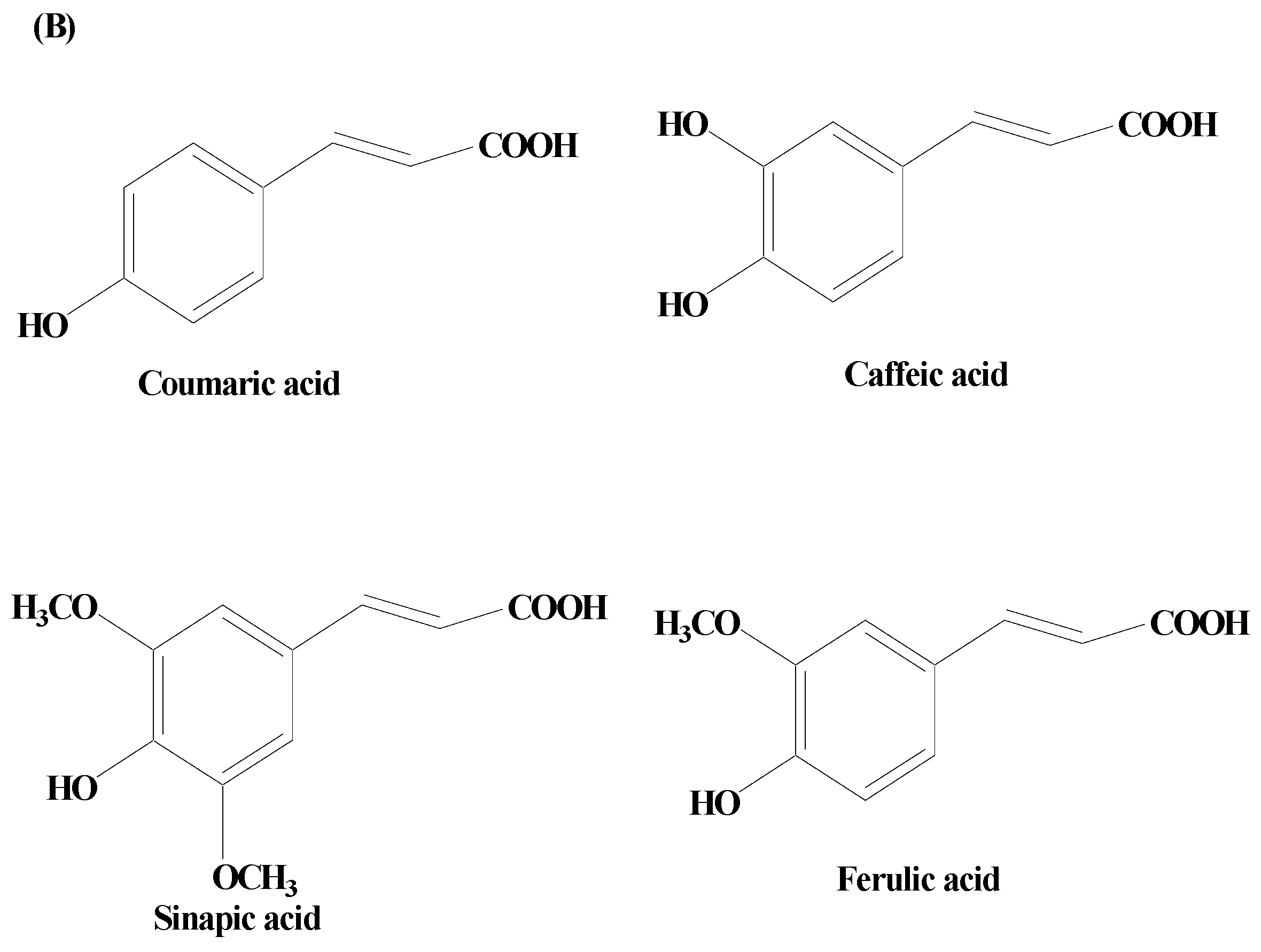 Molecules 28 07588 g004b