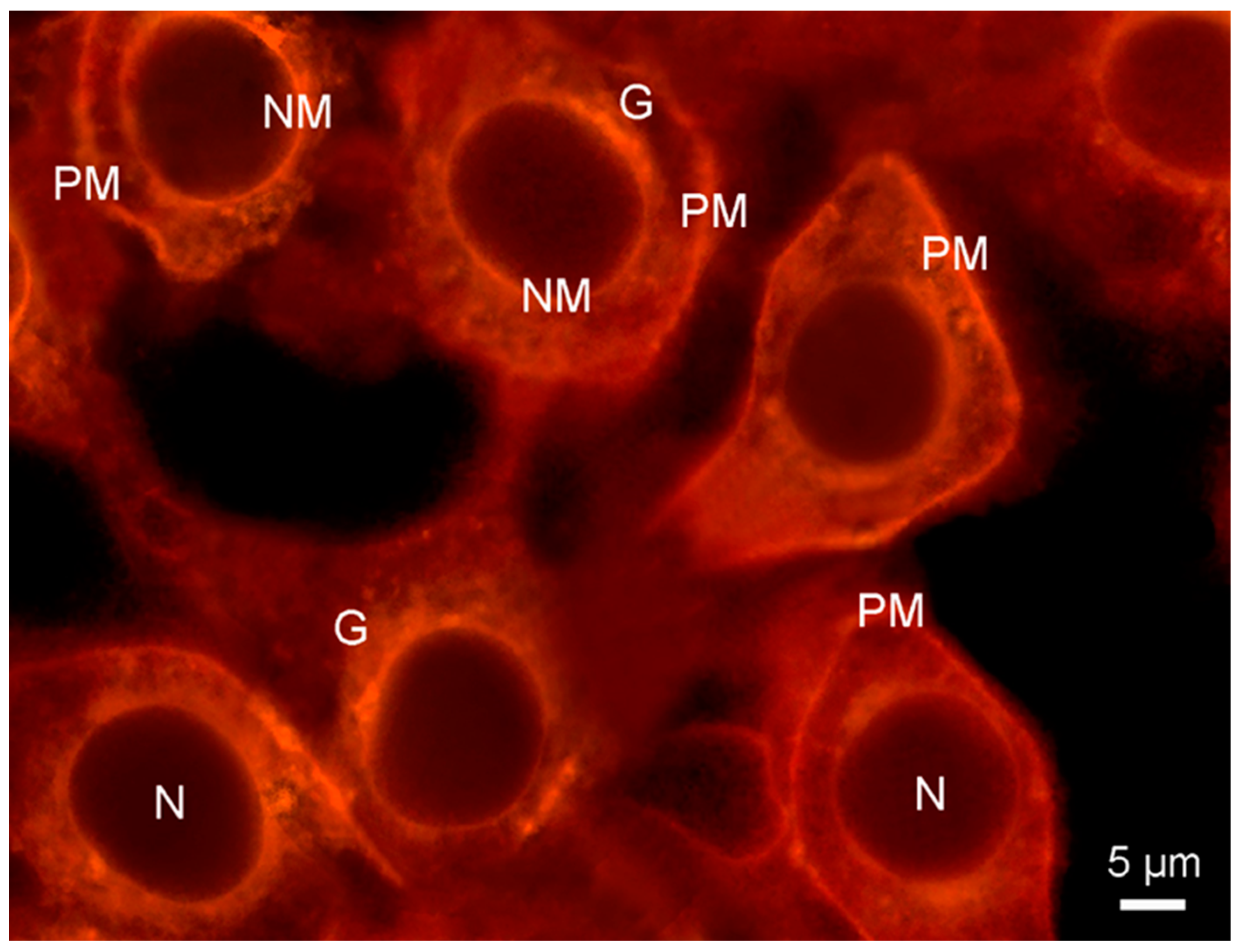 Molecules 28 07589 g004
