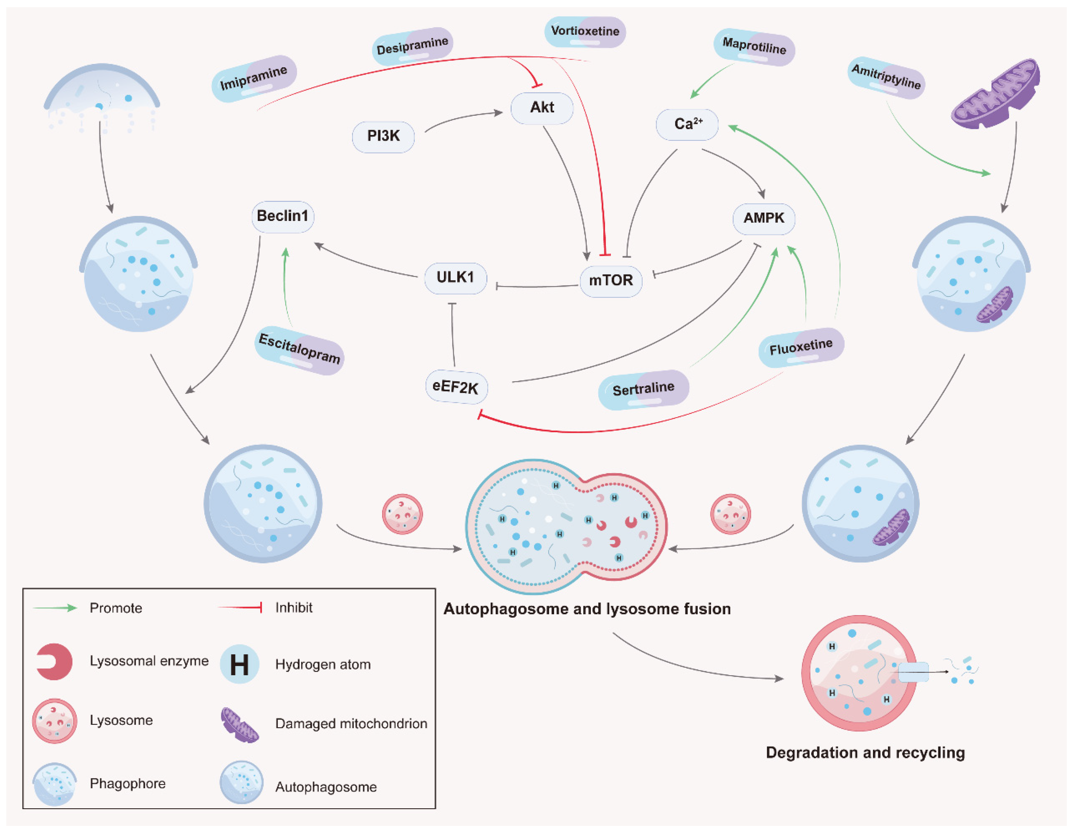 Molecules 28 07594 g001 Molecules 28 07594 g001