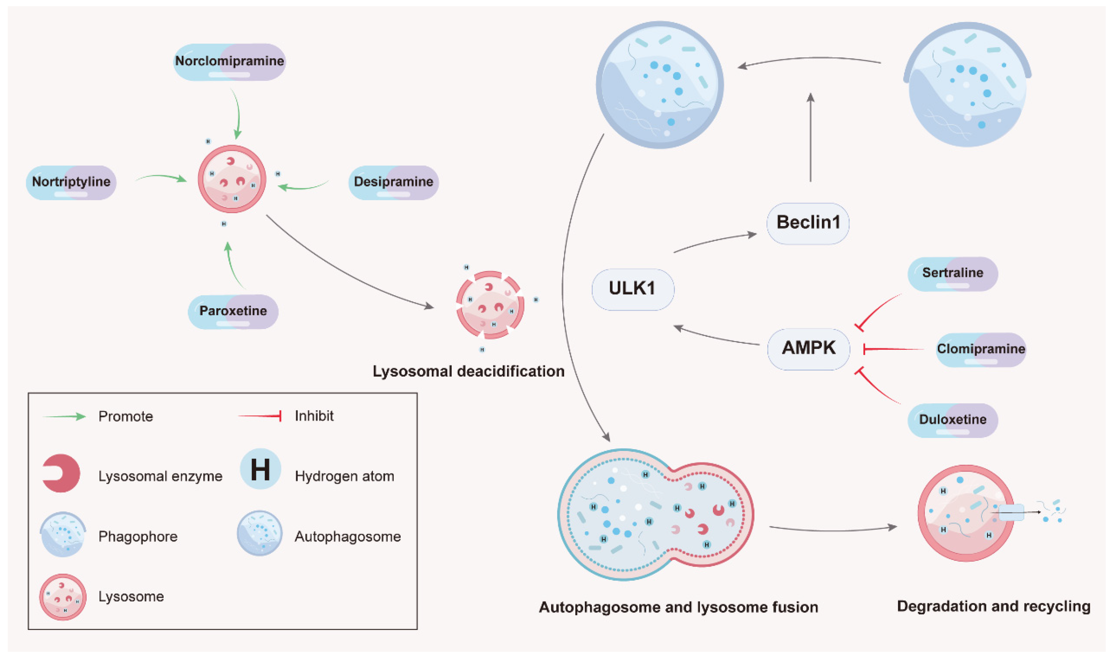 Molecules 28 07594 g002 Molecules 28 07594 g002