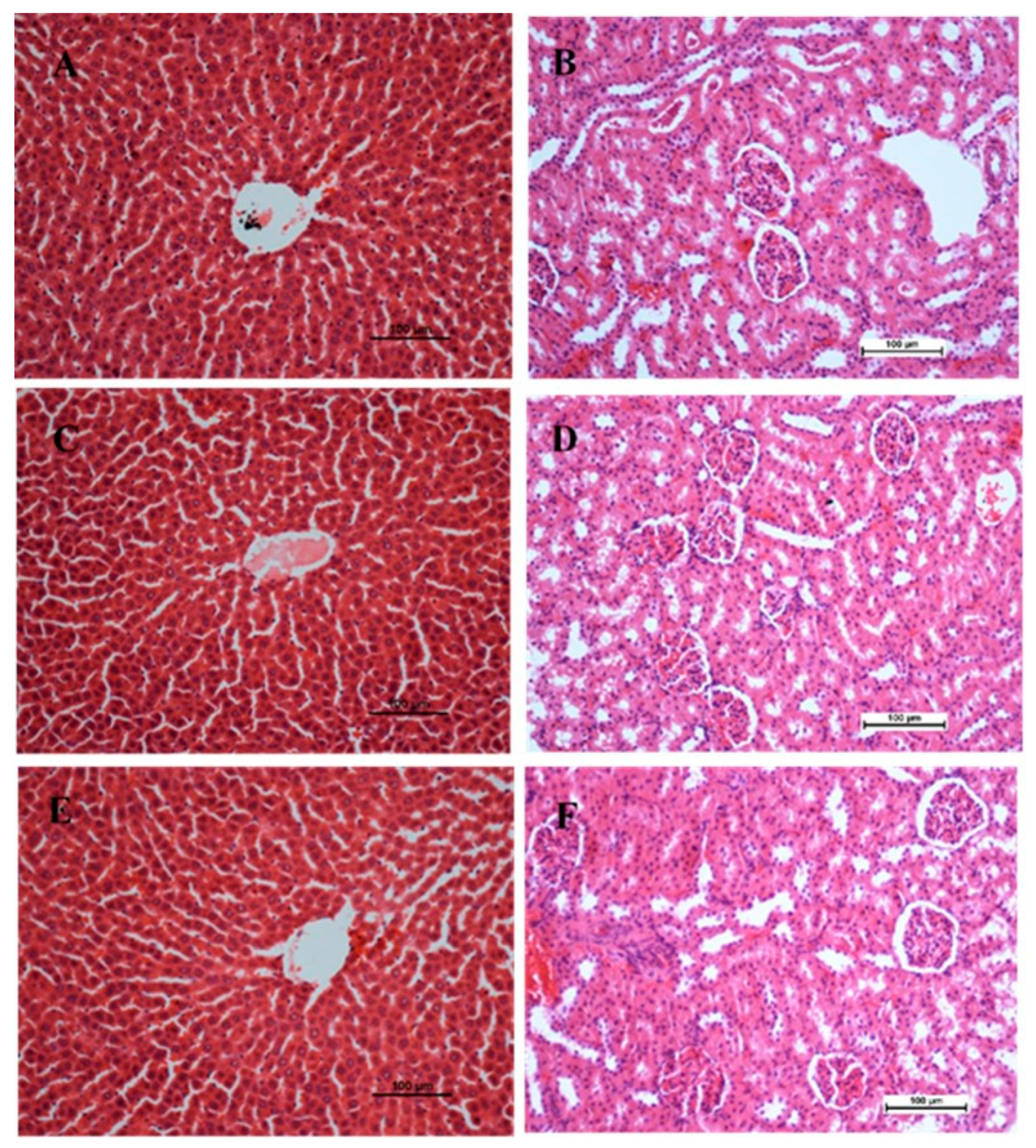Molecules 28 07608 g002
