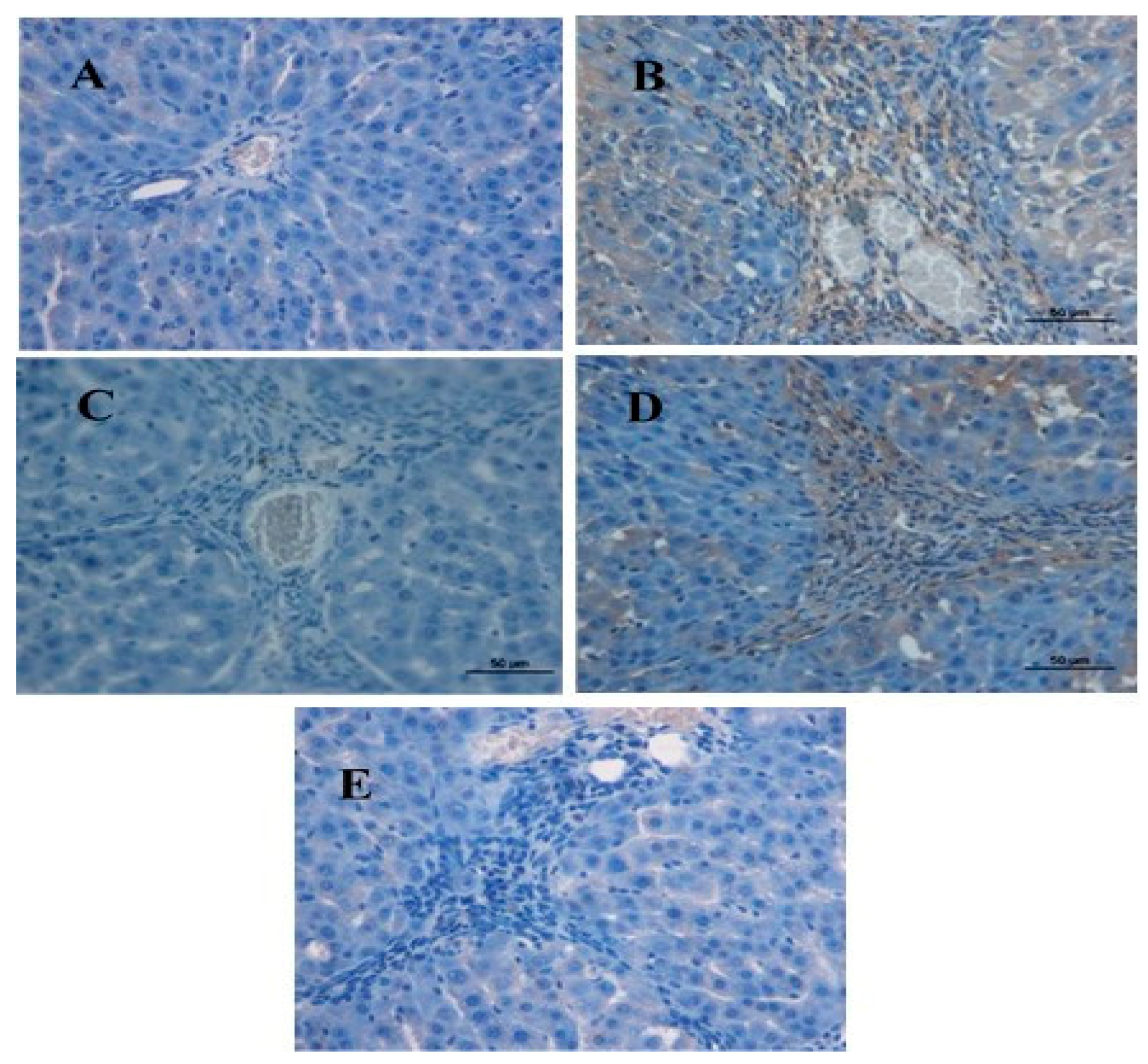 Molecules 28 07608 g004