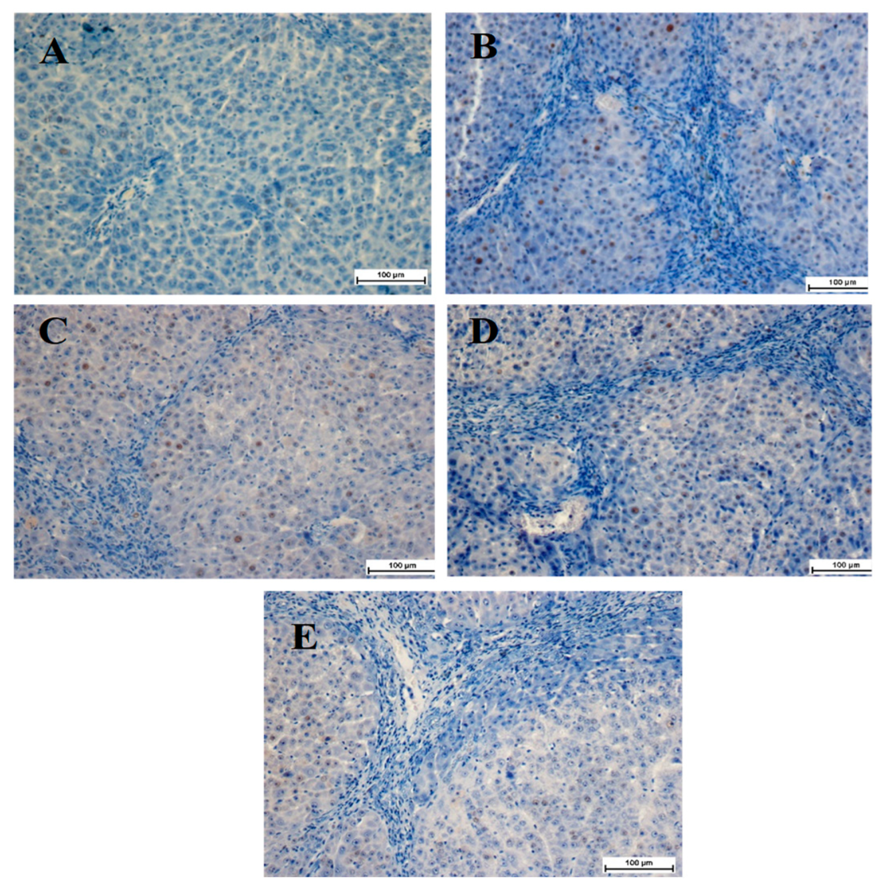 Molecules 28 07608 g005