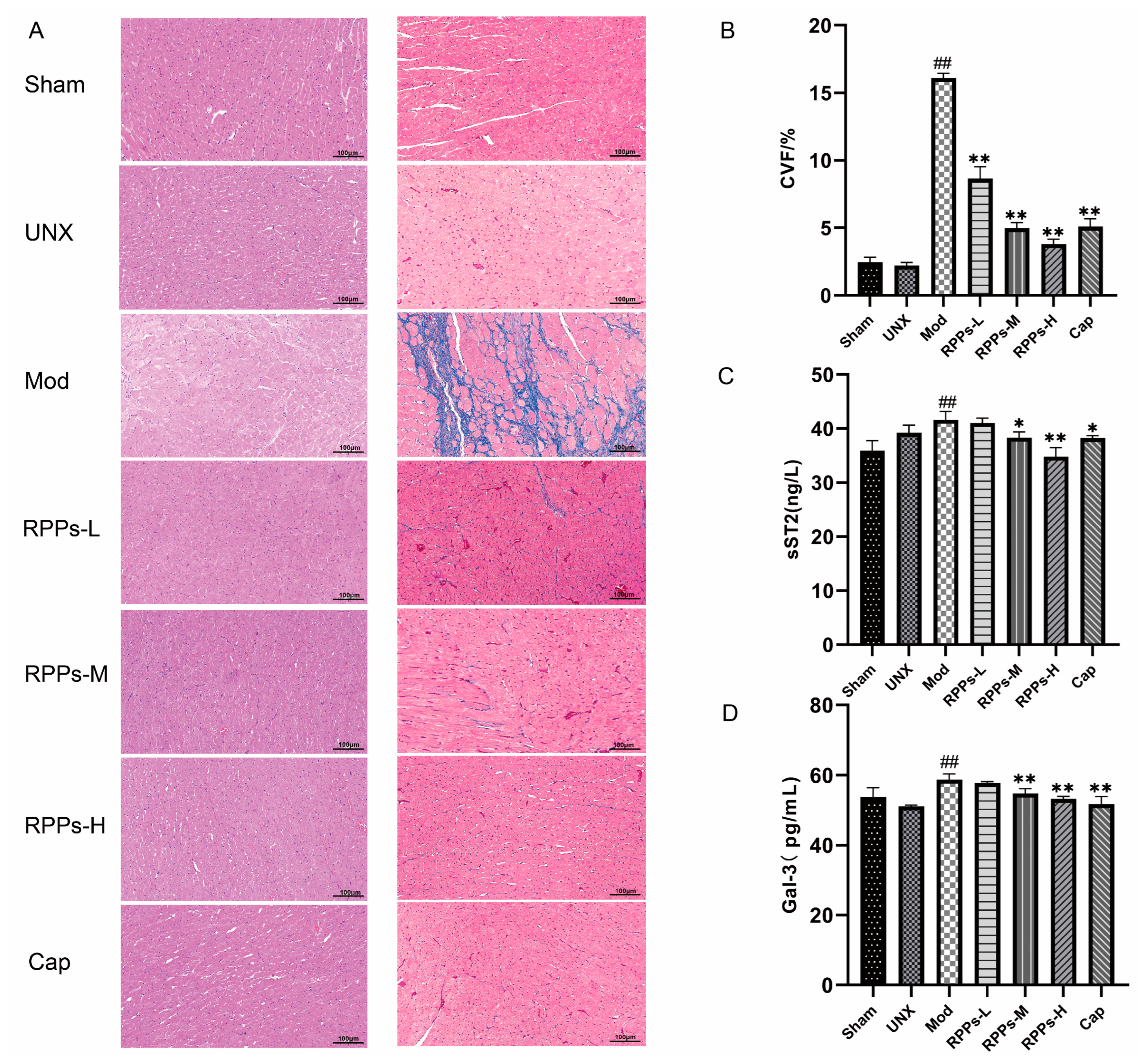 Molecules 28 07610 g004