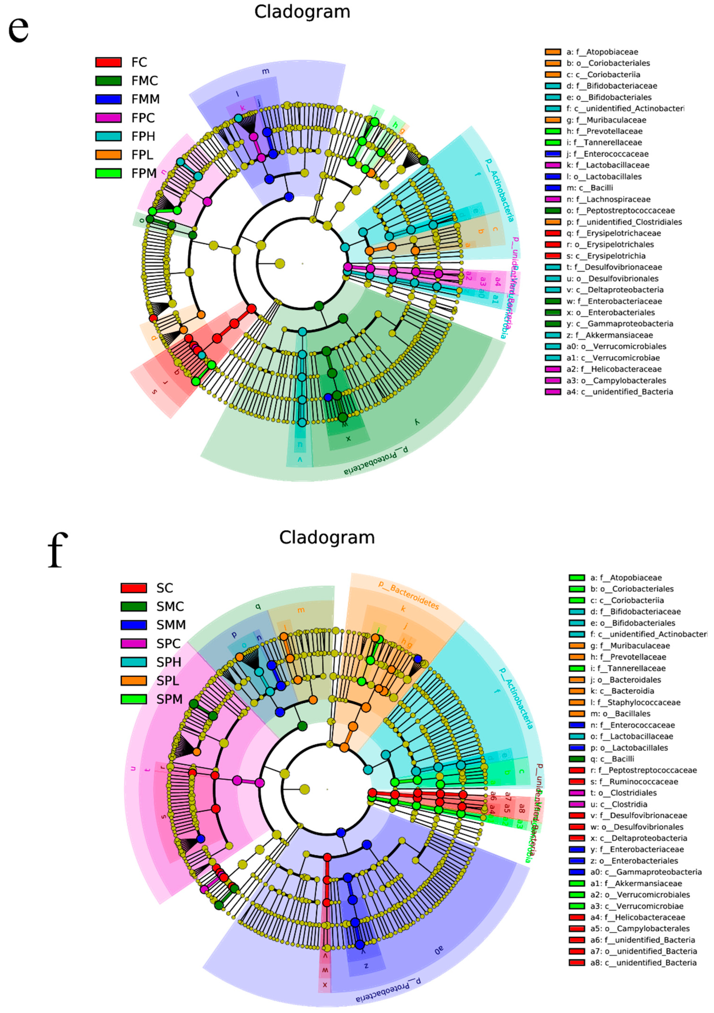 Molecules 28 07611 g001b