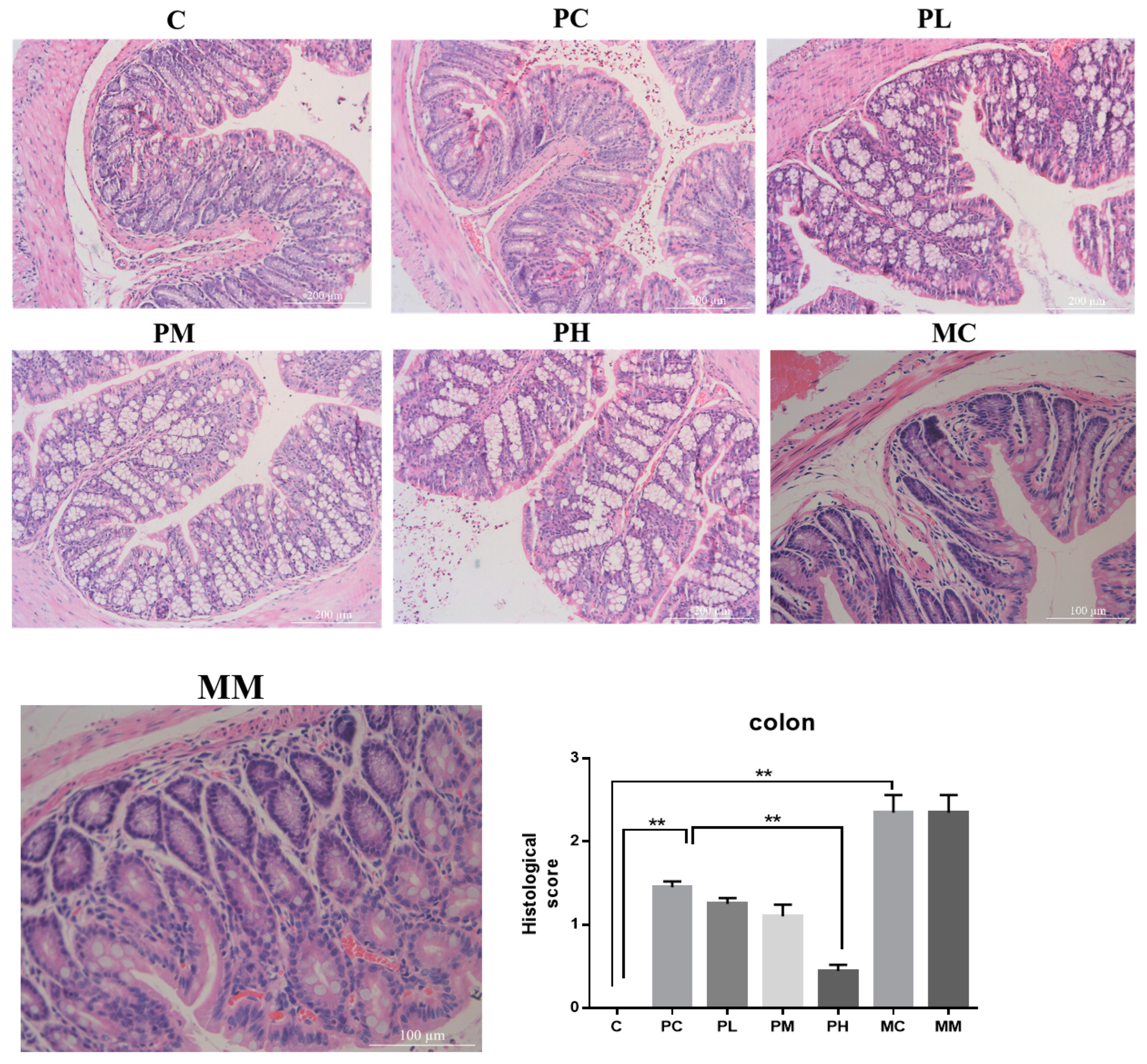 Molecules 28 07611 g003